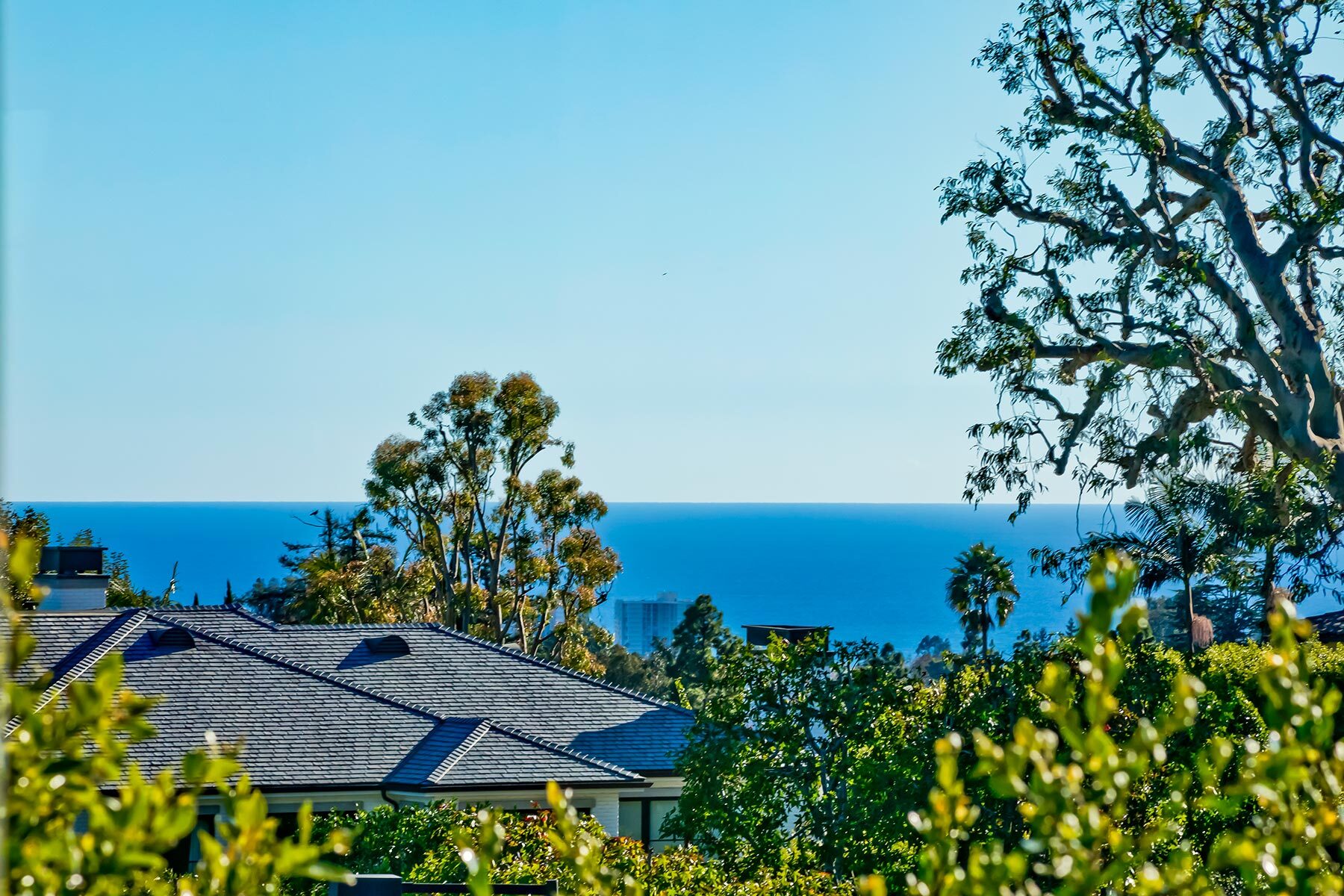  1675 San Remo Dr - 物件實景