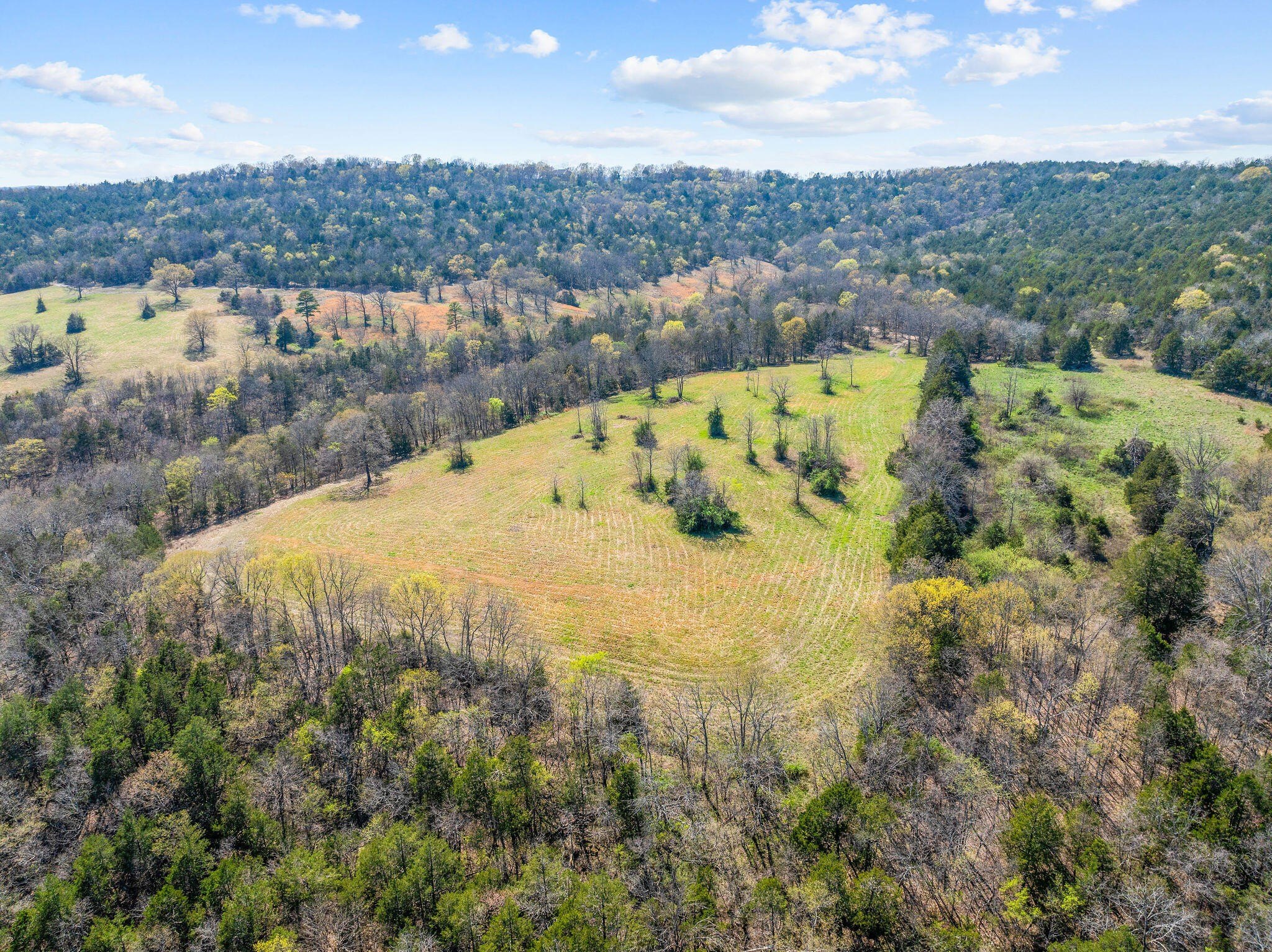 Kirbyville, Missouri, 65679, United States, ,Land,For Sale,1978892