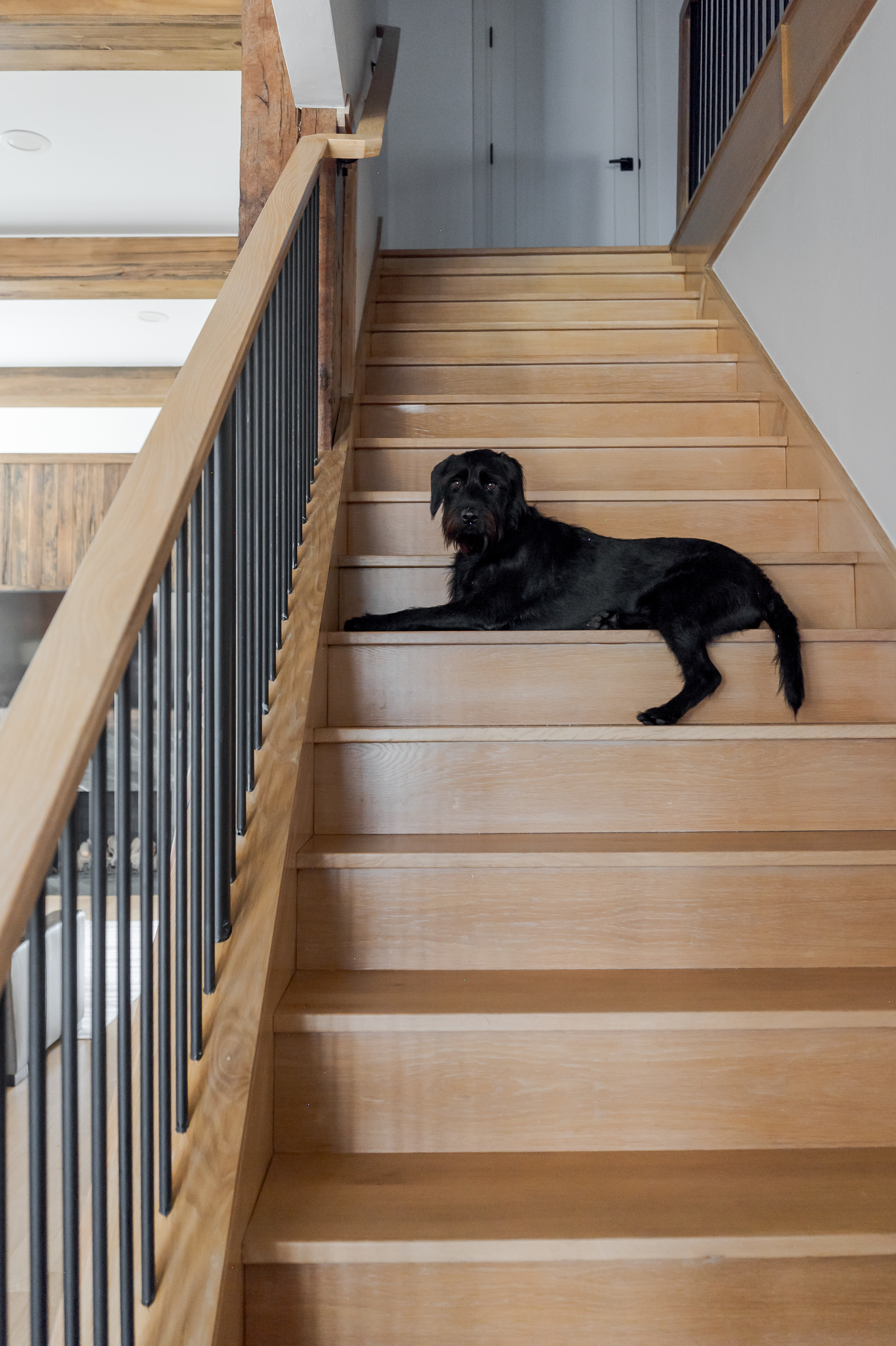  137 Northeast 14th Street, Oklahoma City, OK 73104 - 物件實景