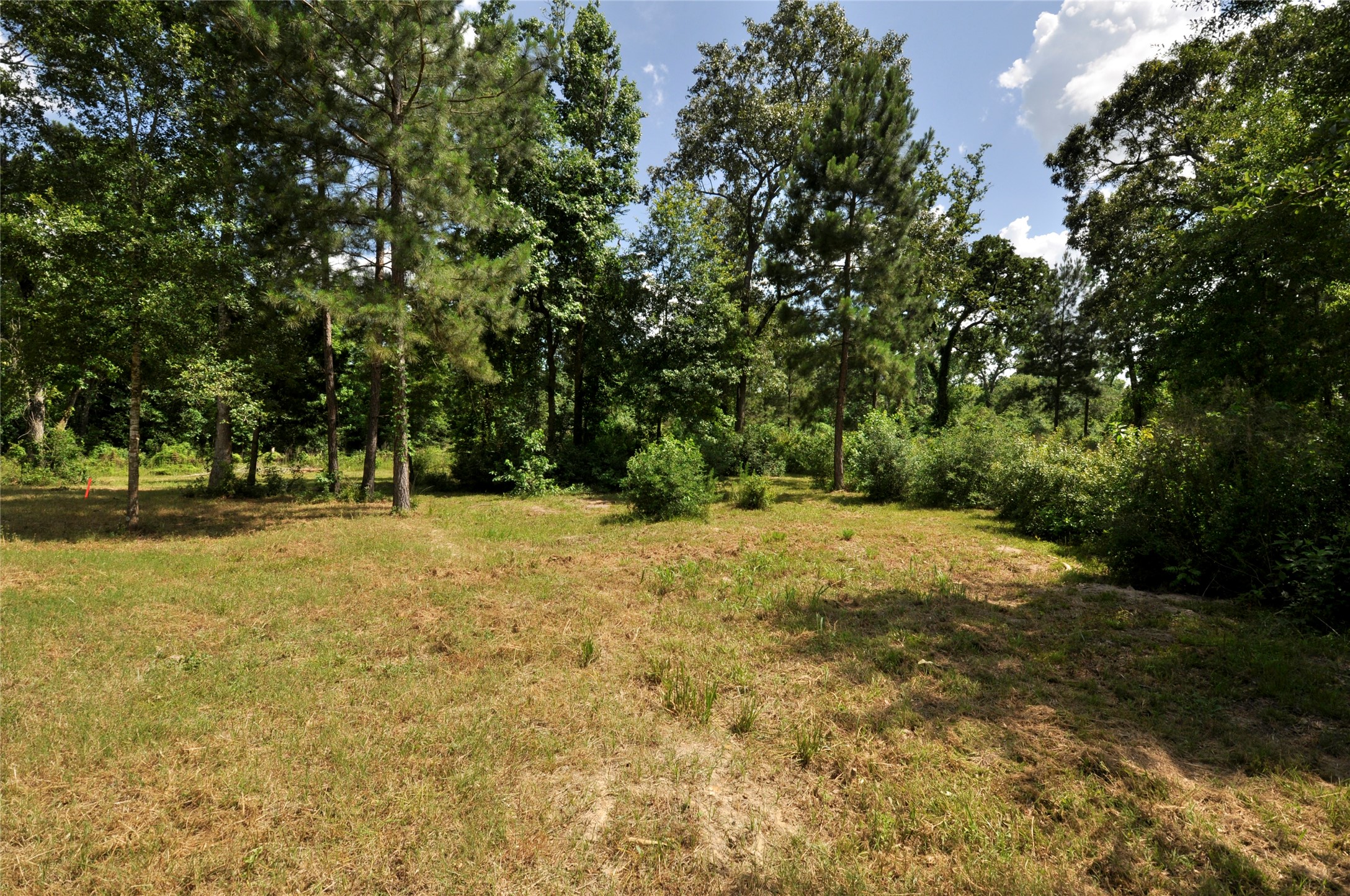 Magnolia, Texas, 77355, United States, ,Land,For Sale,1896028