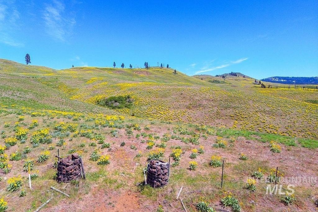 Council, Idaho, 83612, United States, ,Residential,For Sale,1862004