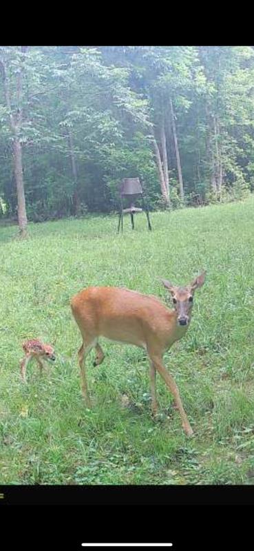 Rusk, Texas, 75785, United States, 1 Bedroom Bedrooms, ,3 BathroomsBathrooms,Residential,For Sale,1918158