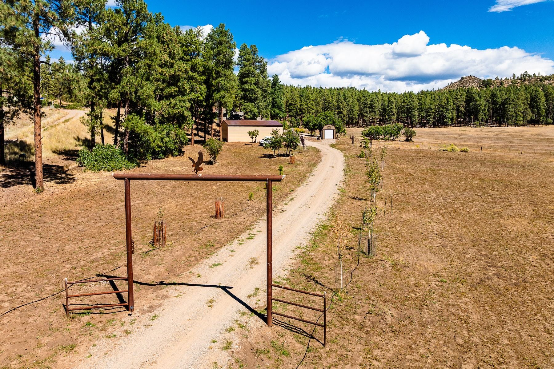  540 Bald Eagle Road, Bayfield, CO 81122 - 物件實景