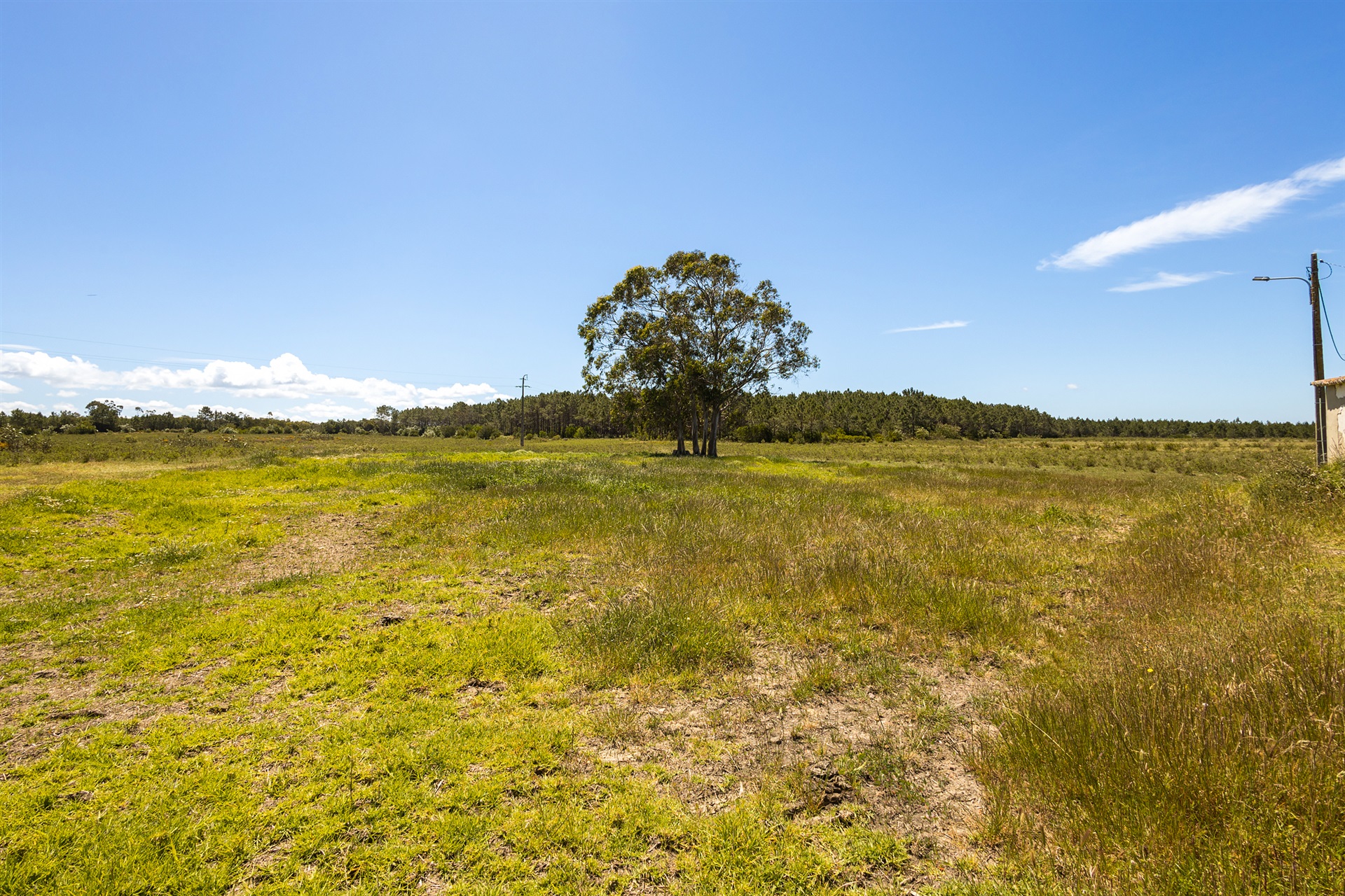  Terreno com ruina for Sale - 物件實景