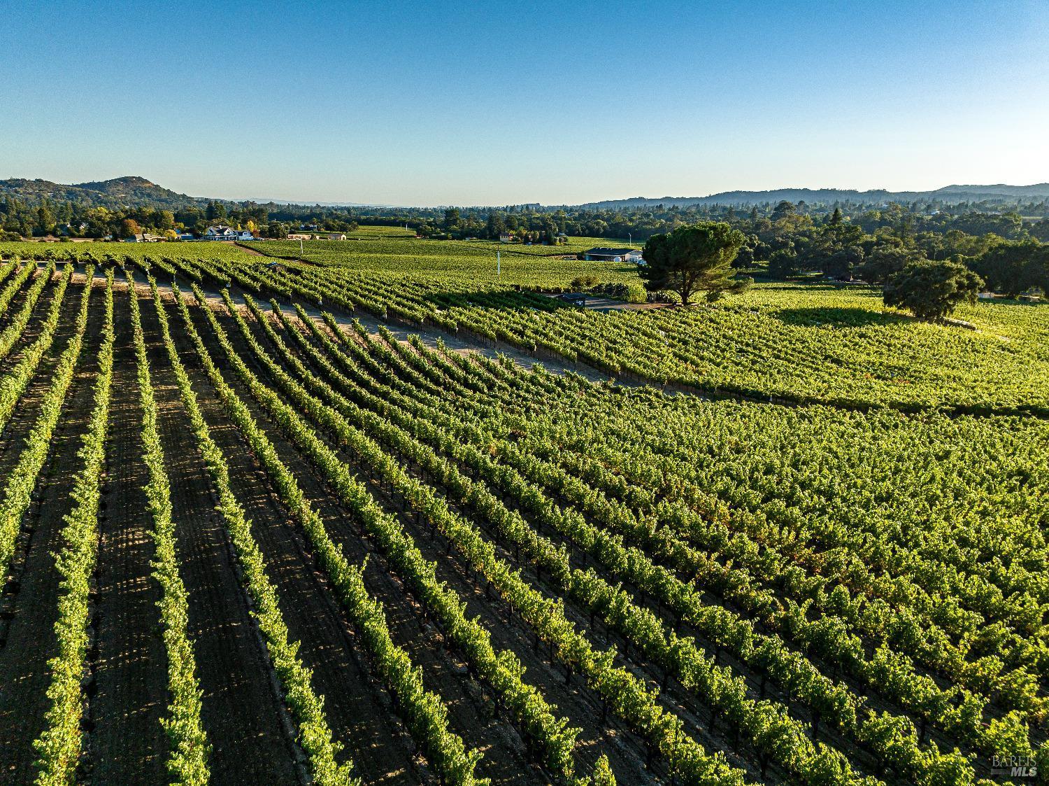 Napa, California, 94558, United States, 4 Bedrooms Bedrooms, ,6 BathroomsBathrooms,Residential,For Sale,1847246