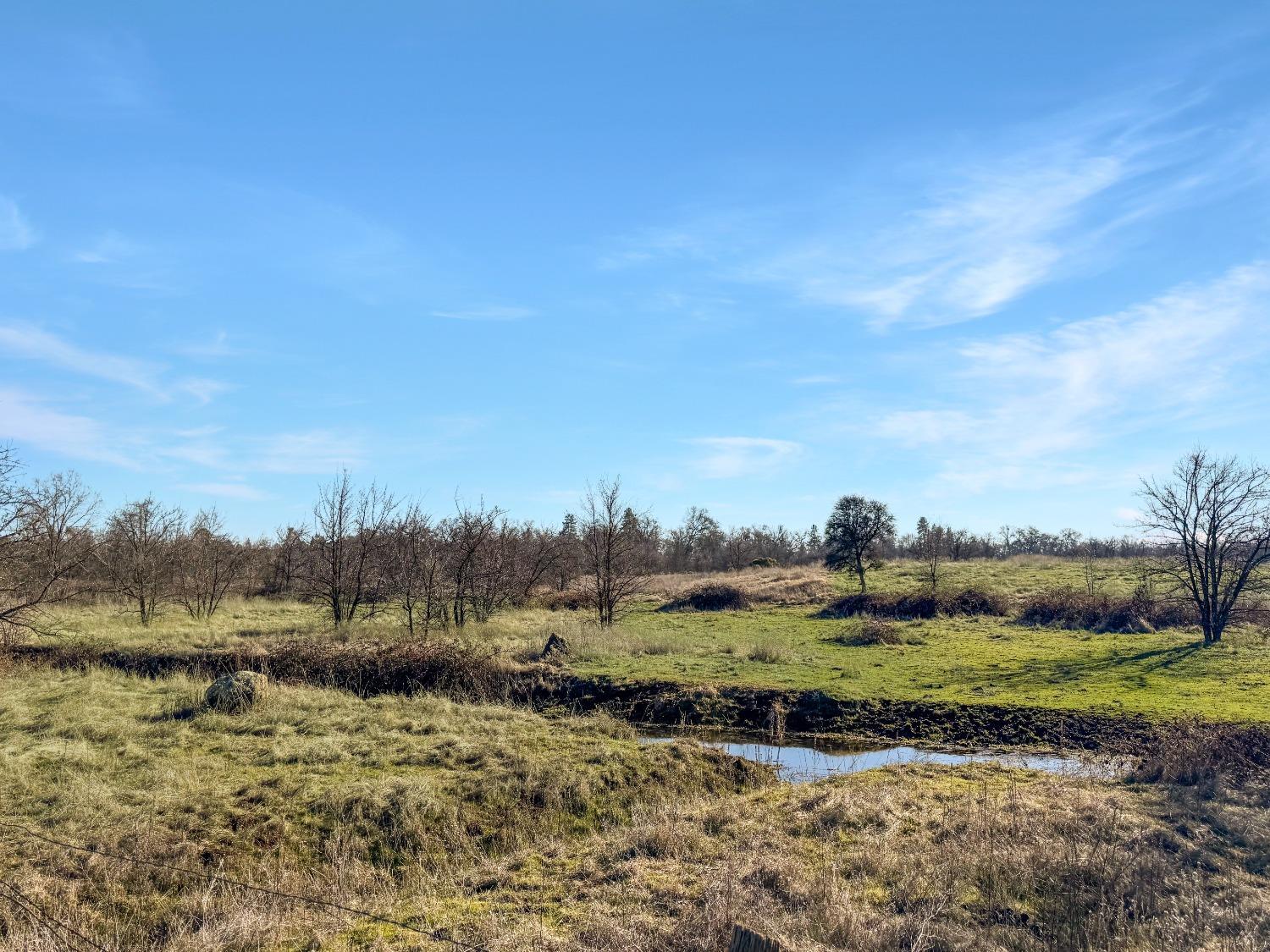 Cool, California, 95614, United States, ,Land,For Sale,1994251