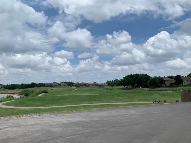 The Colony, Texas, 75056, United States, 4 Bedrooms Bedrooms, ,3 BathroomsBathrooms,Residential,For Sale,1984609