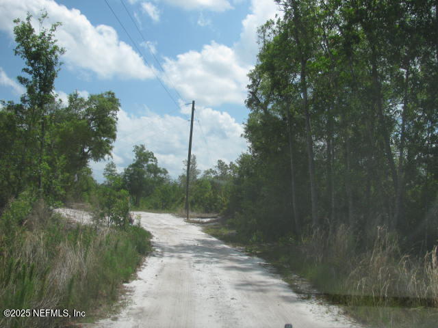DeLeon Springs, Florida, 32130, United States, ,Land,For Sale,1978390
