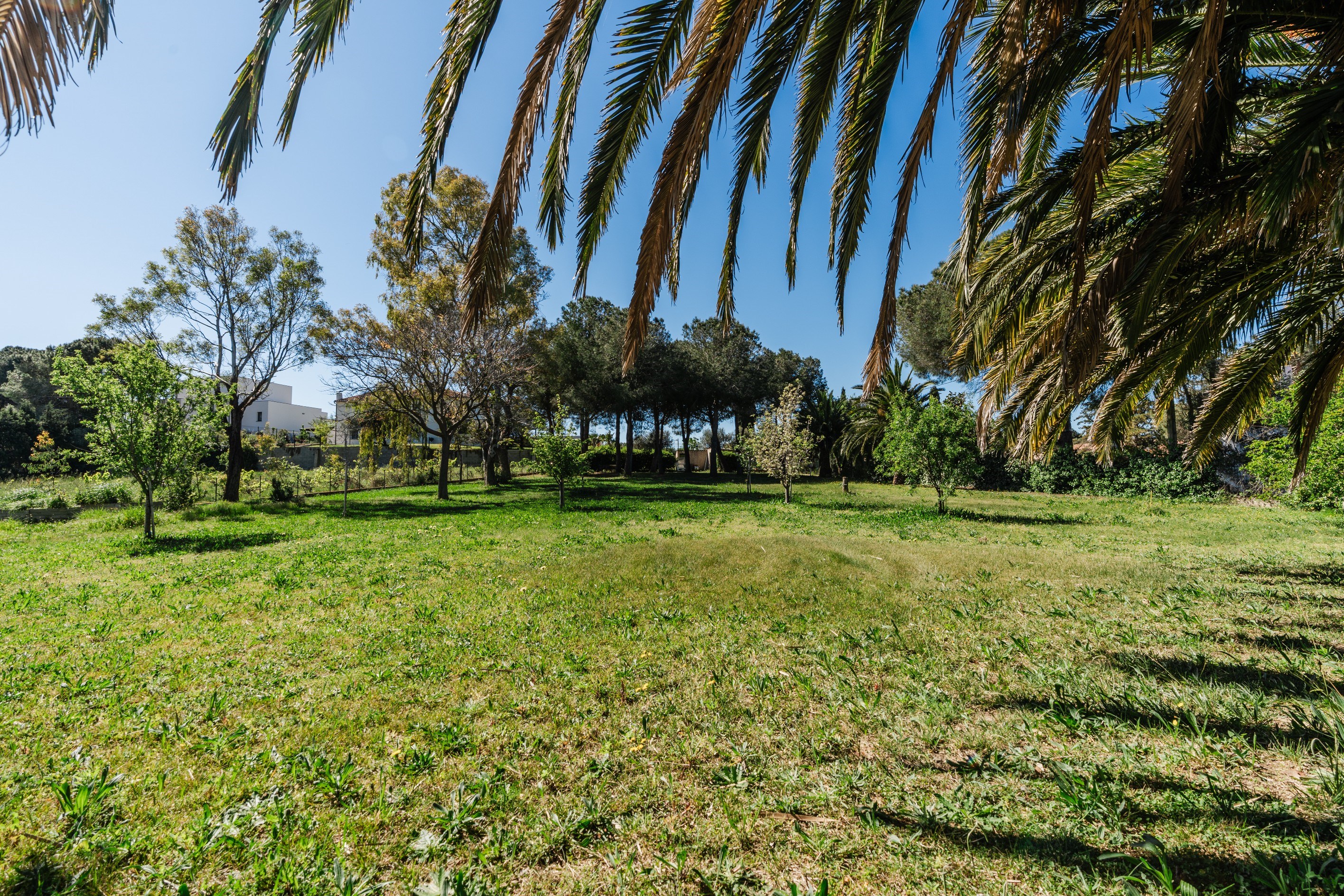  Building Plot – Mas Vermeil - 物件實景