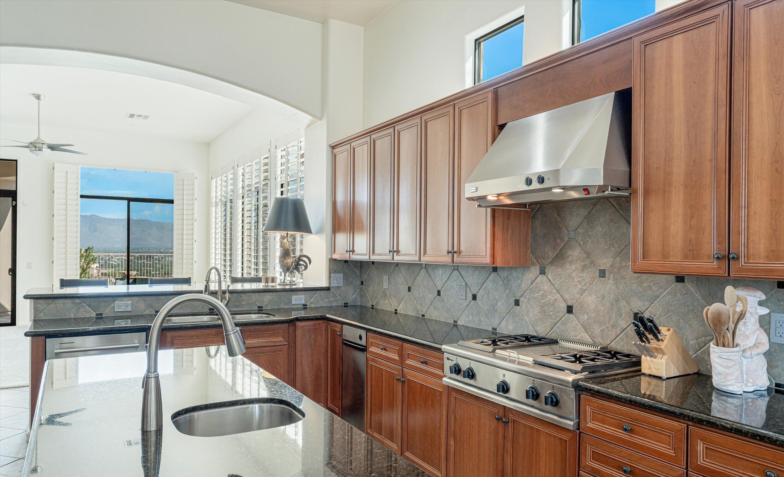  4042 N Black Rock Drive¦Tucson, AZ - 物件實景