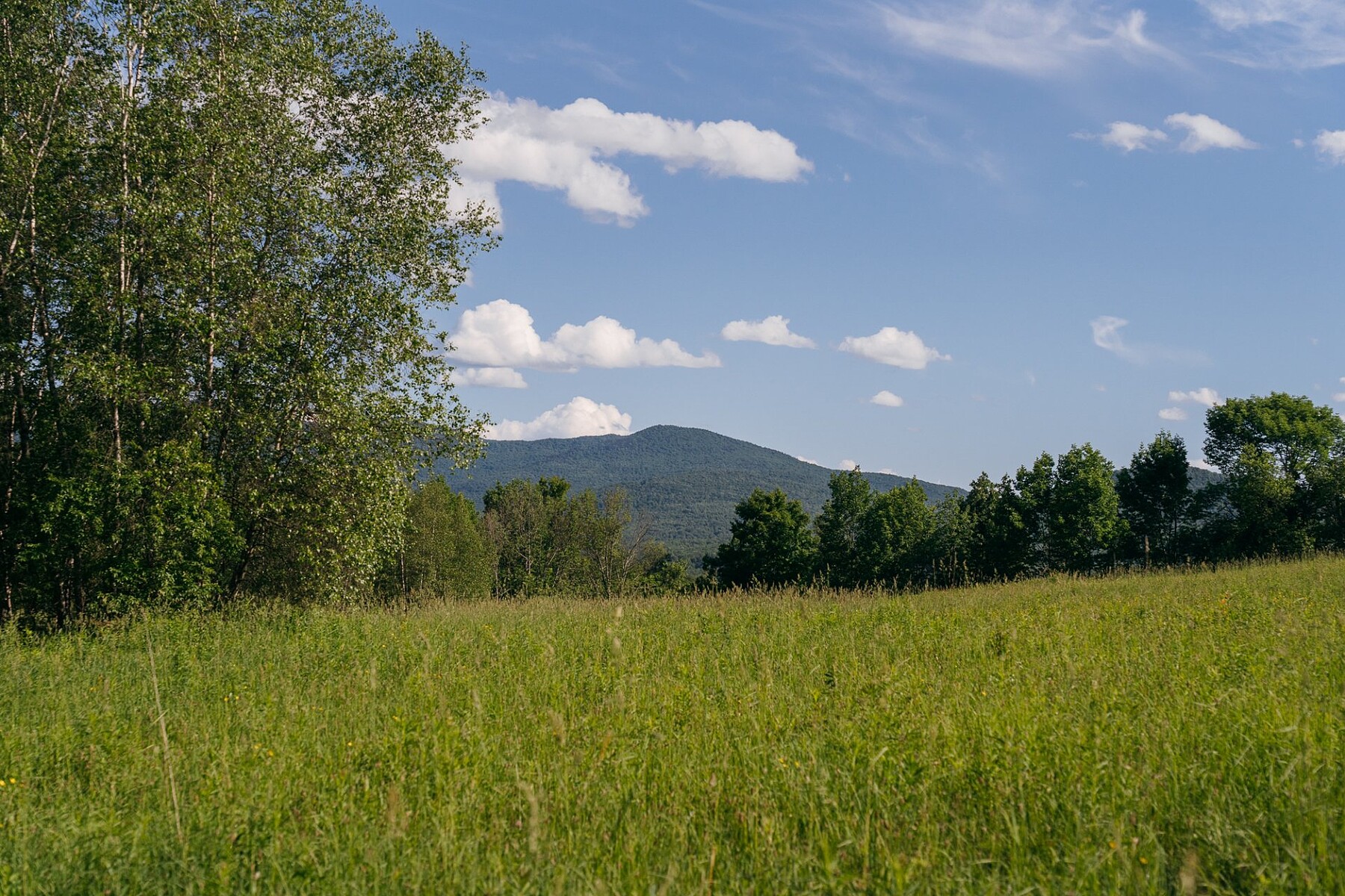  Sutton, Eastern Townships - 物件實景