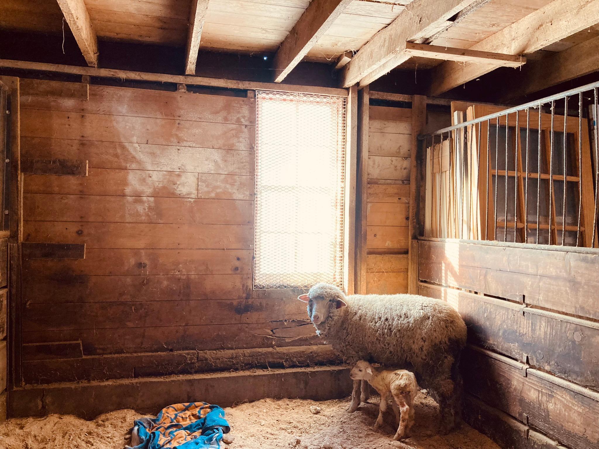 Winona, Minnesota, 55987, United States, 5 Bedrooms Bedrooms, ,2 BathroomsBathrooms,Residential,For Sale,2005788