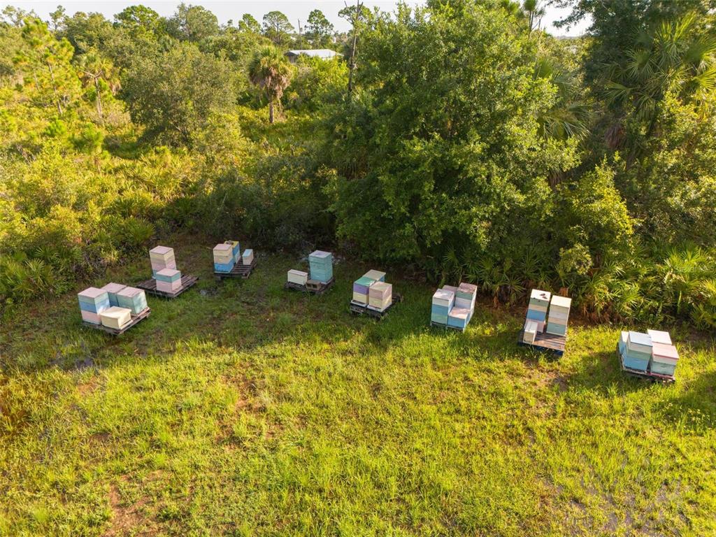 Port Charlotte, Florida, 33981, United States, ,Land,For Sale,1980063