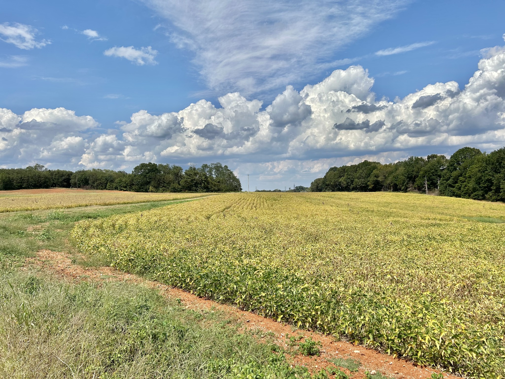 Decherd, Tennessee, 37324, United States, ,Land,For Sale,2016602