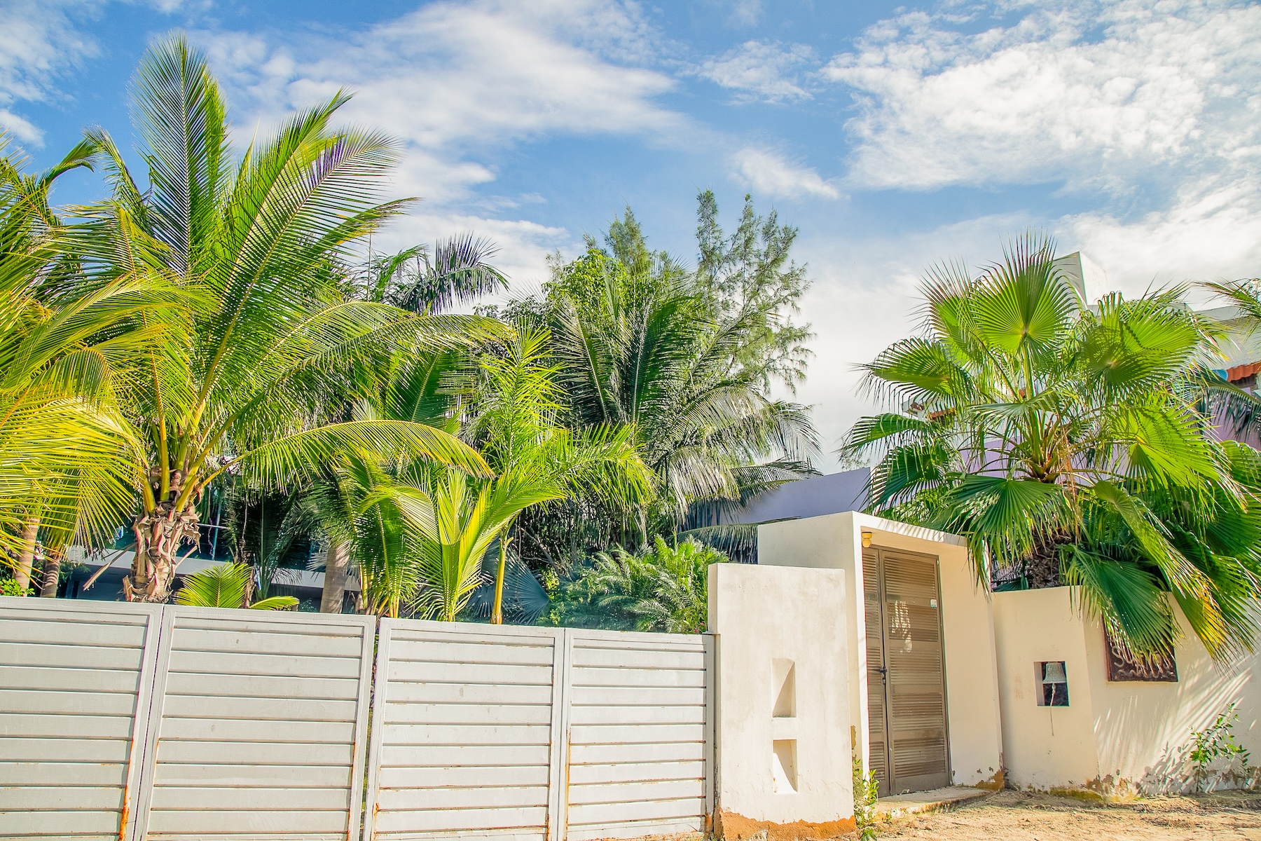  Tropical Living with Contemporary Design in Holbox Island - 物件實景