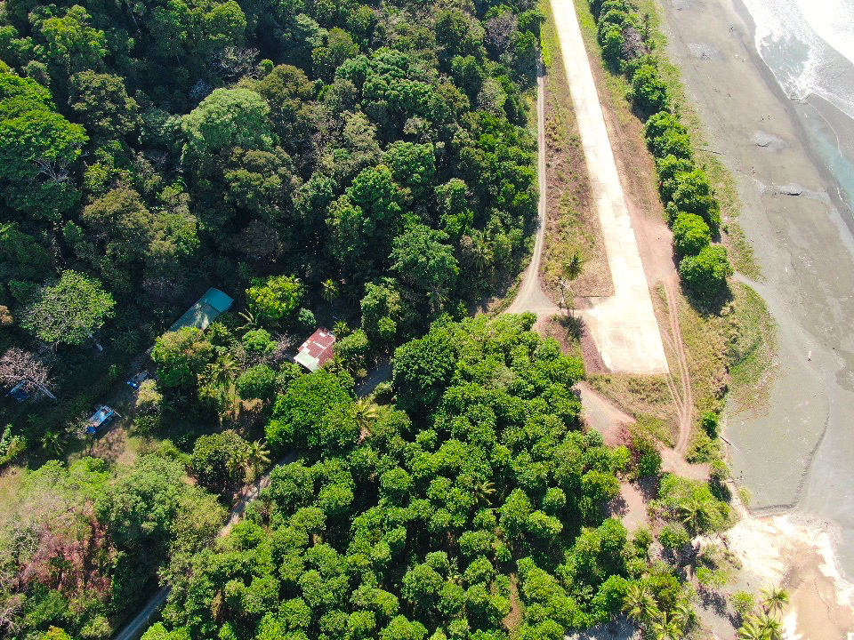 Osa Peninsula, Carate, Cabo Matapalo, Puntarenas, CR, ,Land,For Sale,Osa Peninsula, Carate,1585857