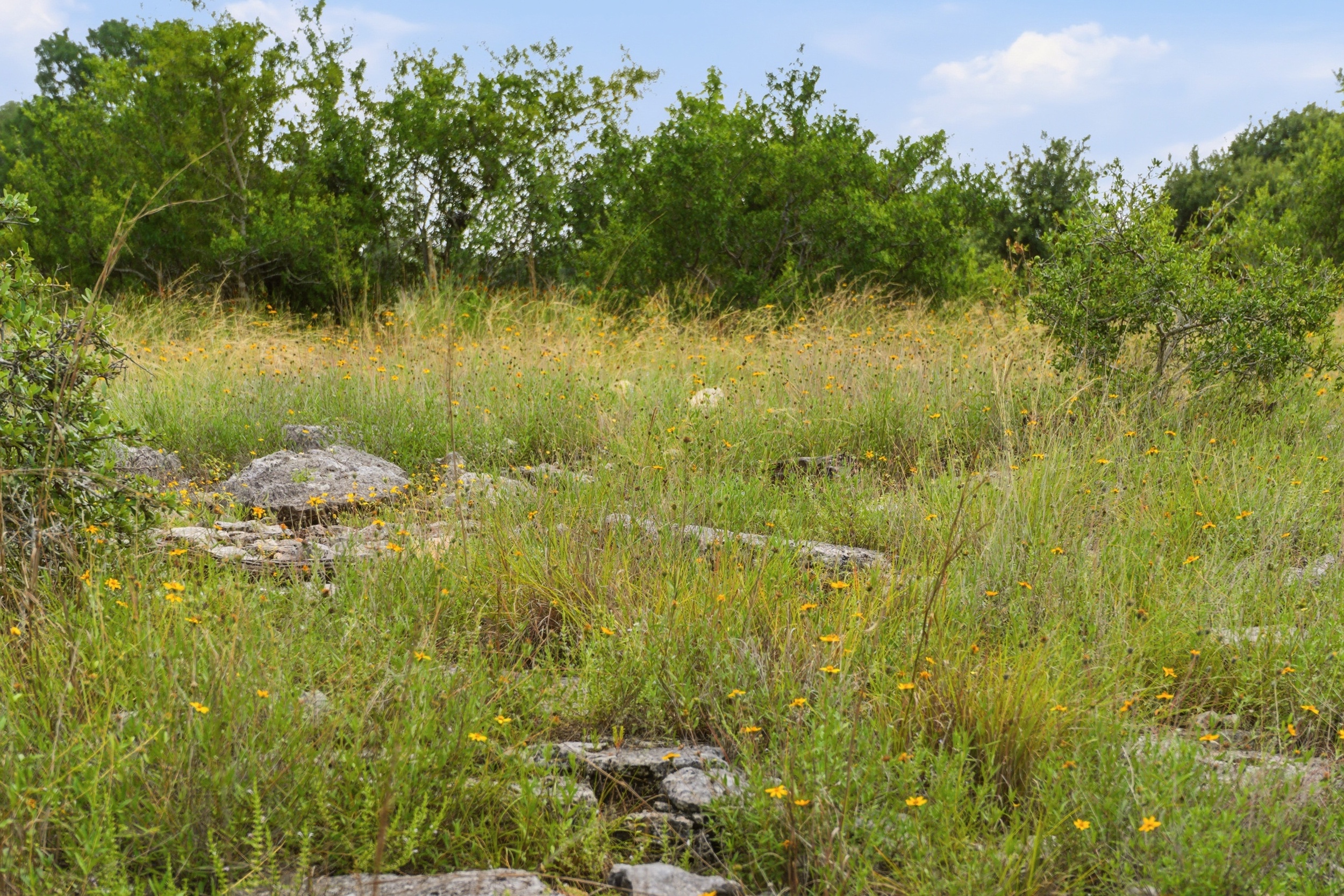 Rolling Oaks Ranch: The Pinnacle of Private Estate Living - 物件實景