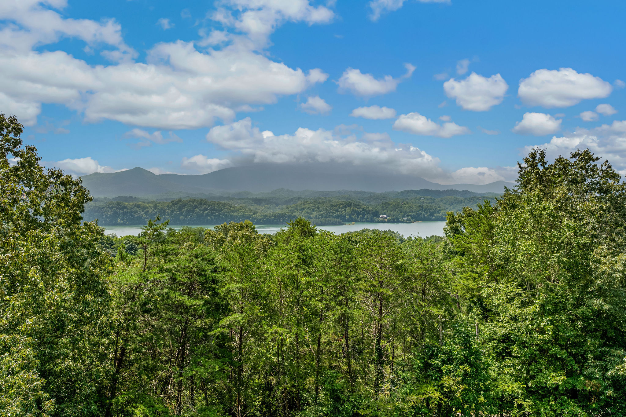 Dandridge, Tennessee, 37725, United States, 2 Bedrooms Bedrooms, ,2 BathroomsBathrooms,Residential,For Sale,1928860
