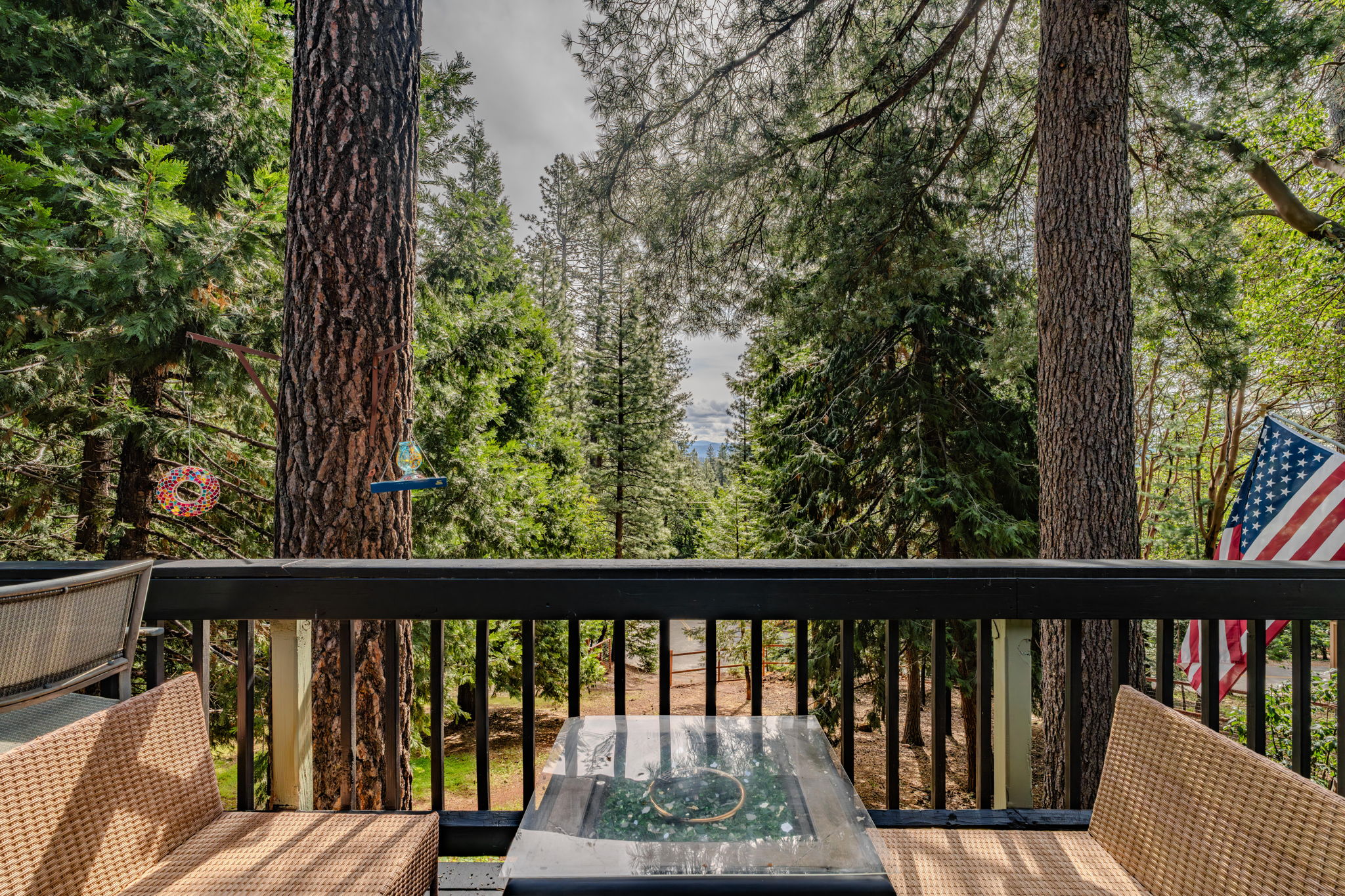  19021 Mace Drive, Pioneer, CA 95666 - 物件實景