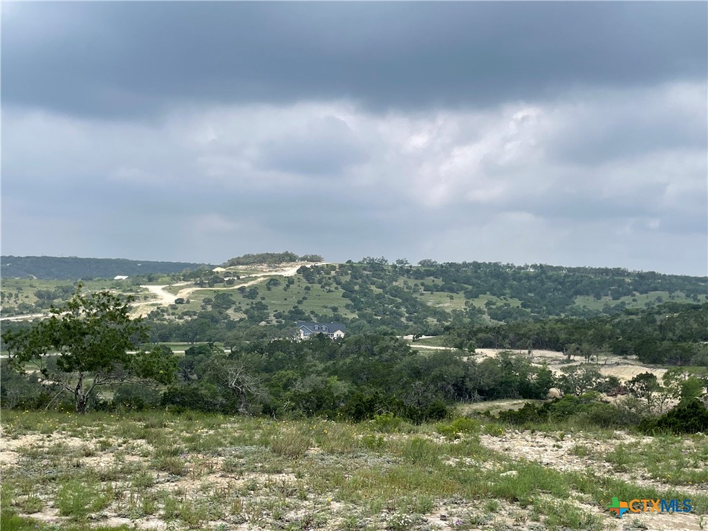 Blanco, Texas, 78606, United States, ,Land,For Sale,1877440