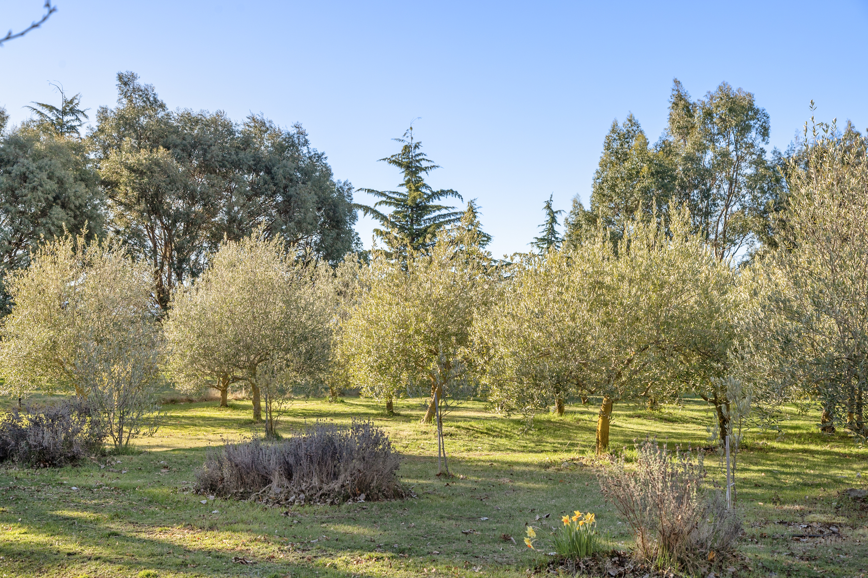 Country Living with Character - 物件實景