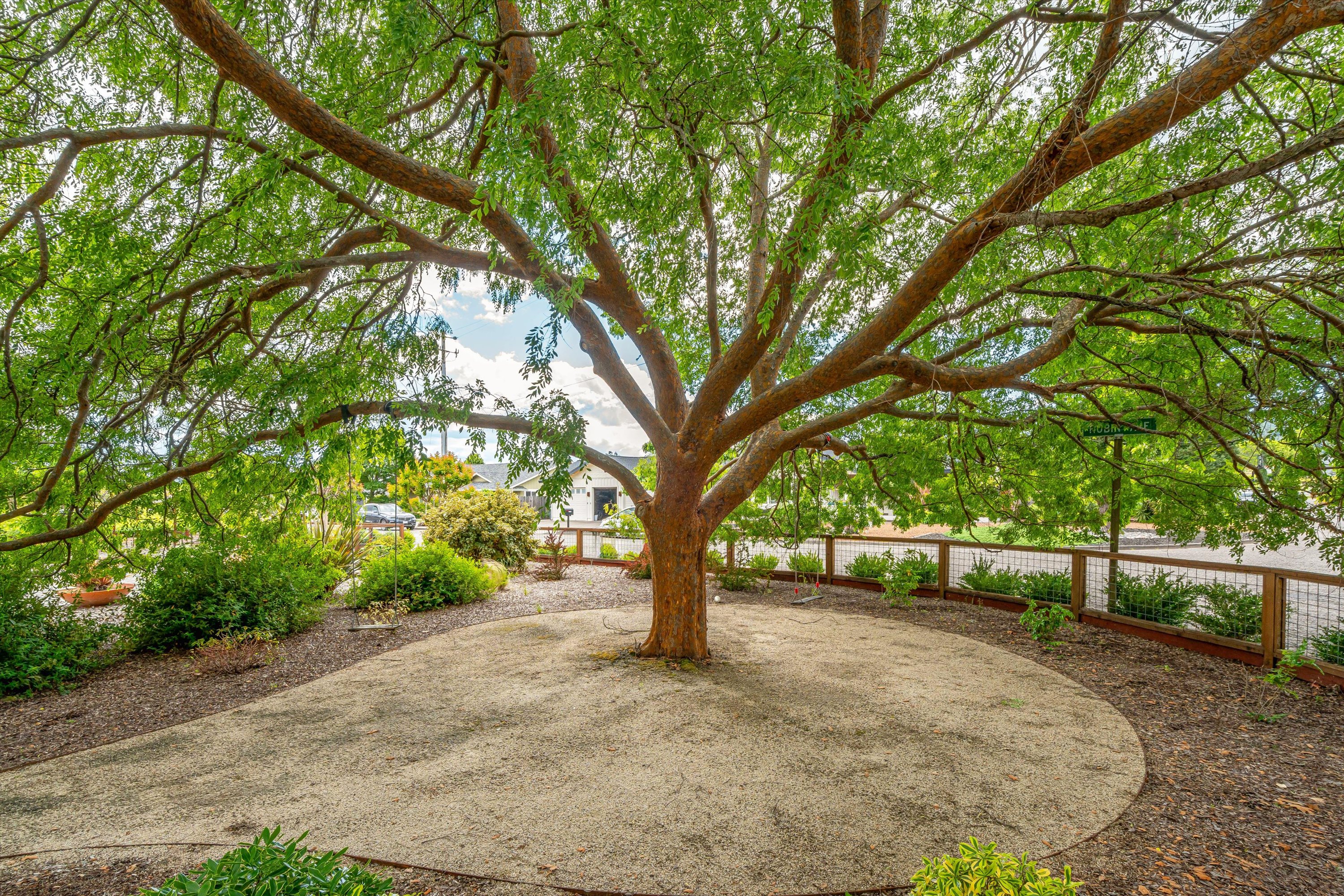  960 Lark Ave - 物件實景