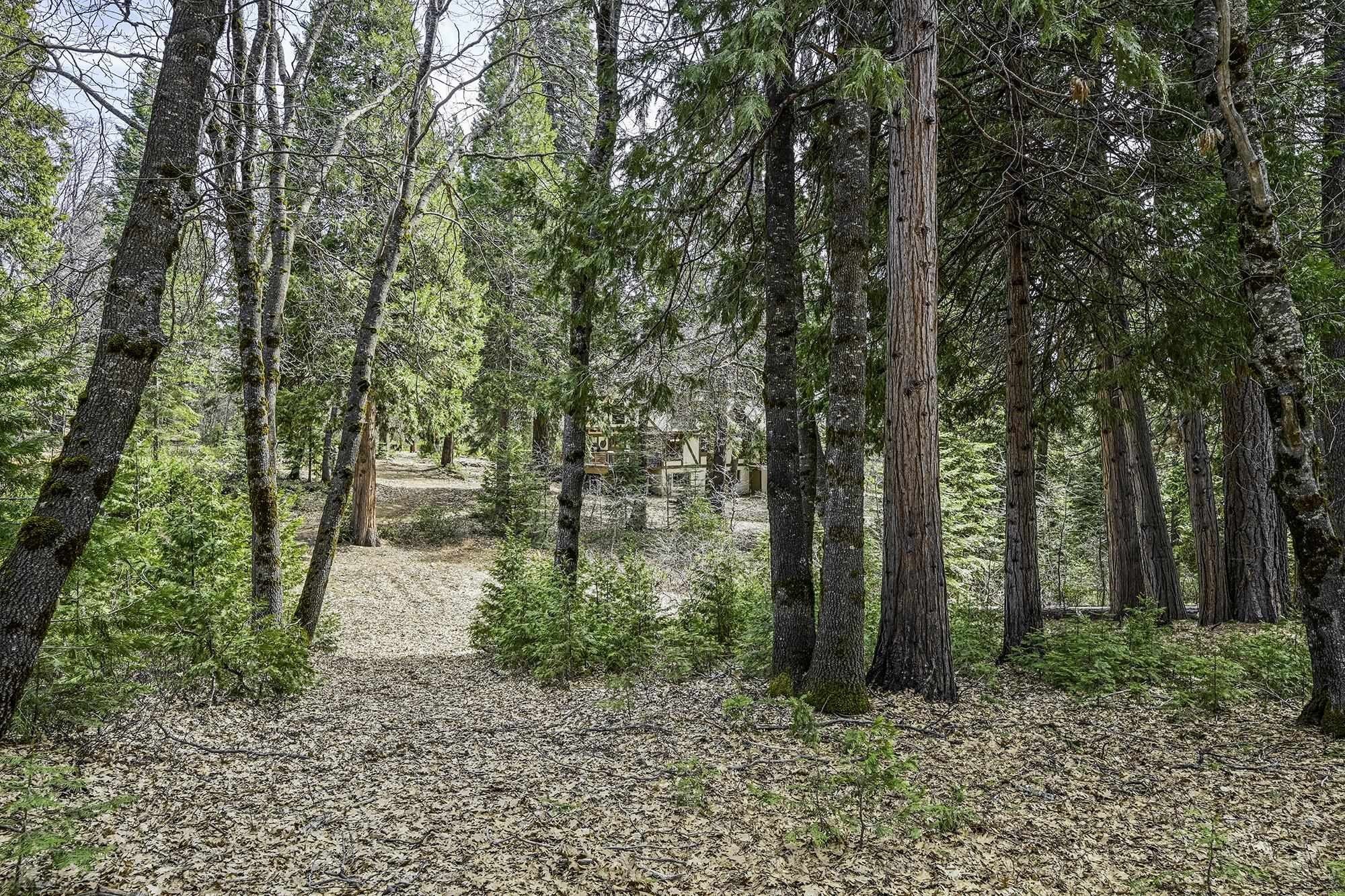 Mt Shasta, California, 96067, United States, 4 Bedrooms Bedrooms, ,3 BathroomsBathrooms,Residential,For Sale,1982137