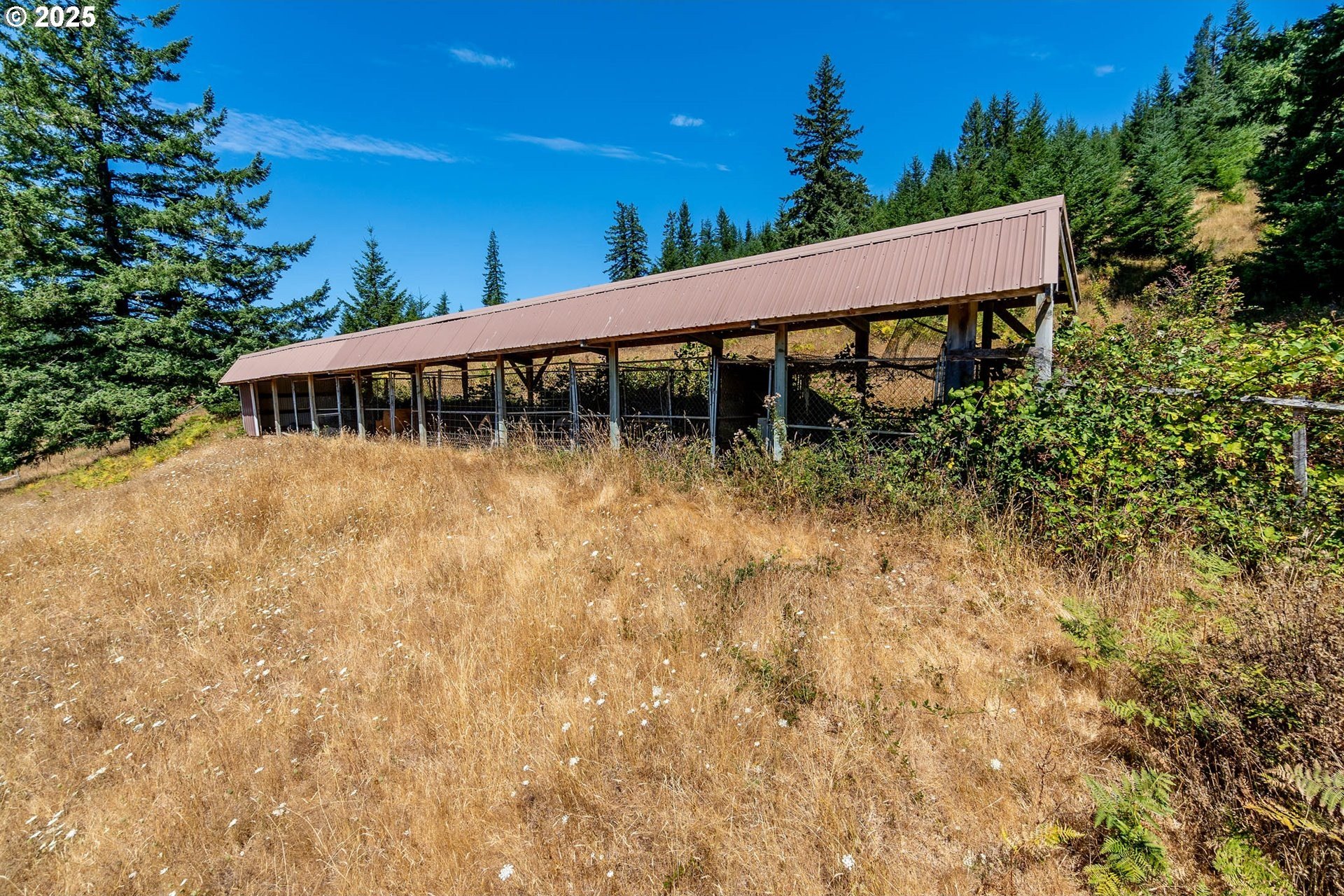 Myrtle Point, Oregon, 97458, United States, 3 Bedrooms Bedrooms, ,3 BathroomsBathrooms,Residential,For Sale,1975614