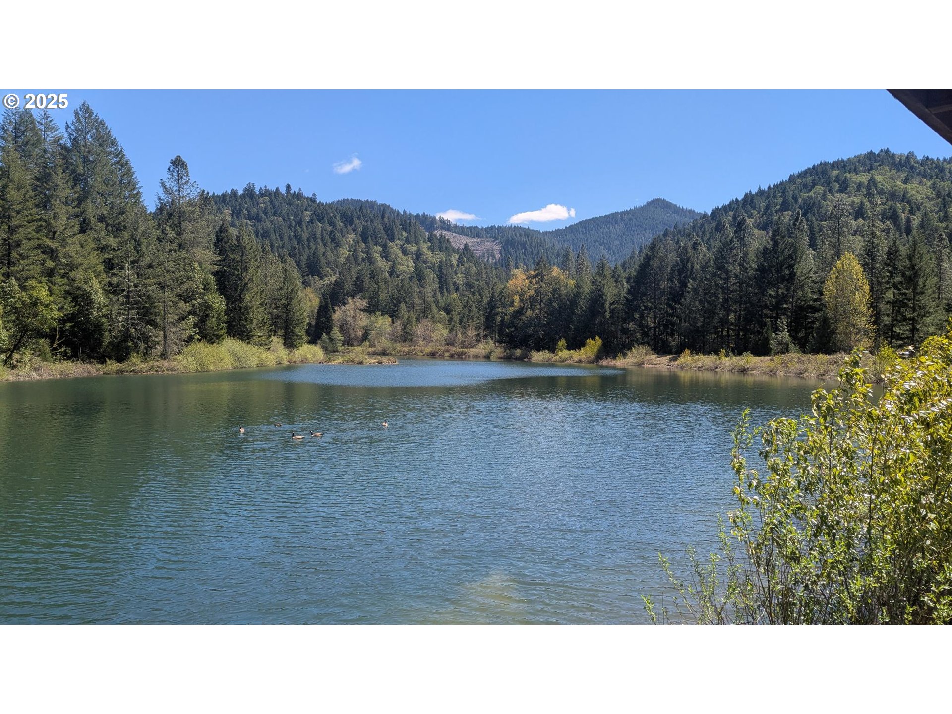 2999 Speaker Rd, Wolf Creek, Oregon, 97497, United States, 4 Bedrooms Bedrooms, ,4 BathroomsBathrooms,Residential,For Sale,2999 Speaker Rd,1659471
