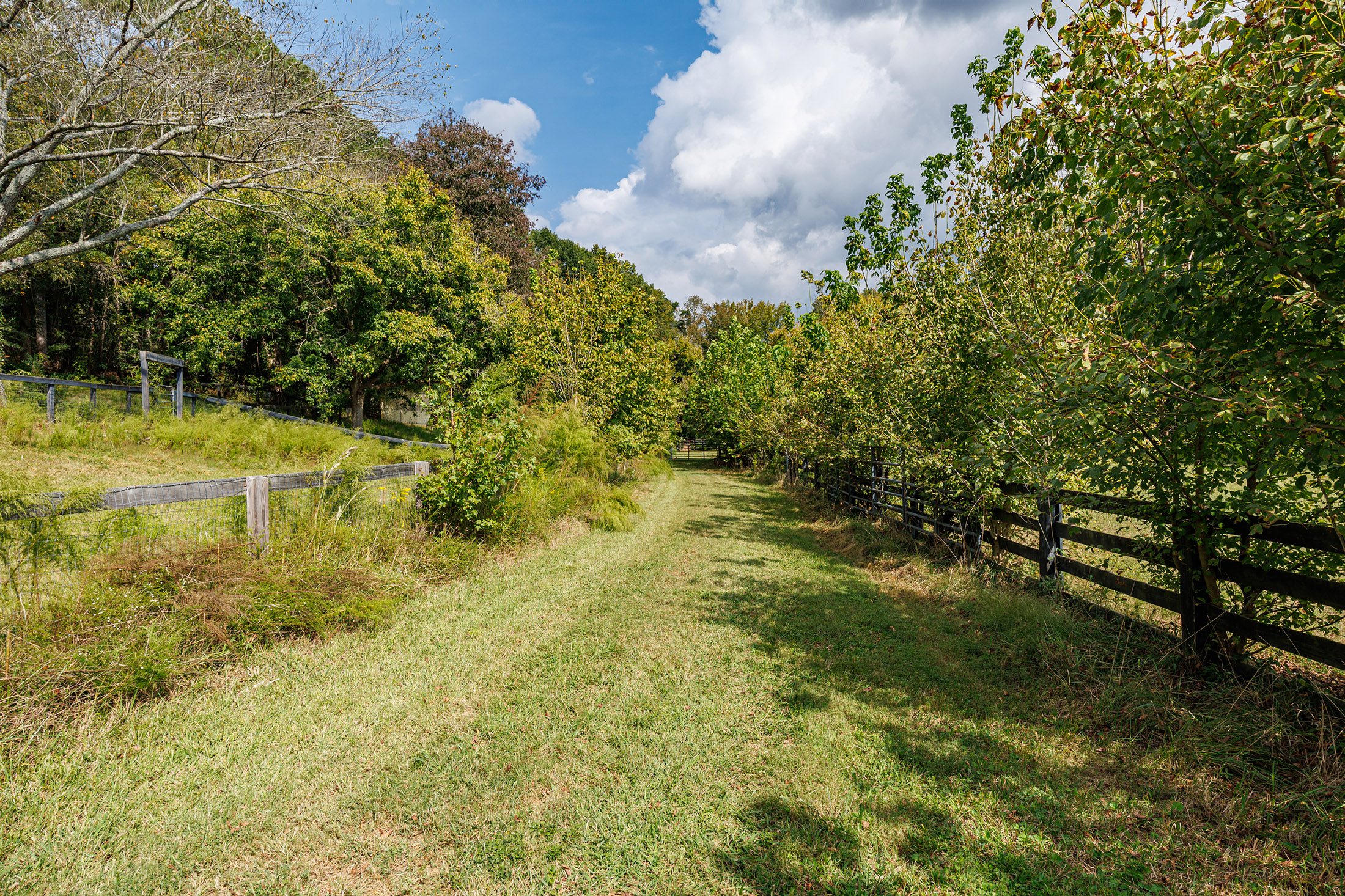  Lovely Equestrian Estate - 物件實景