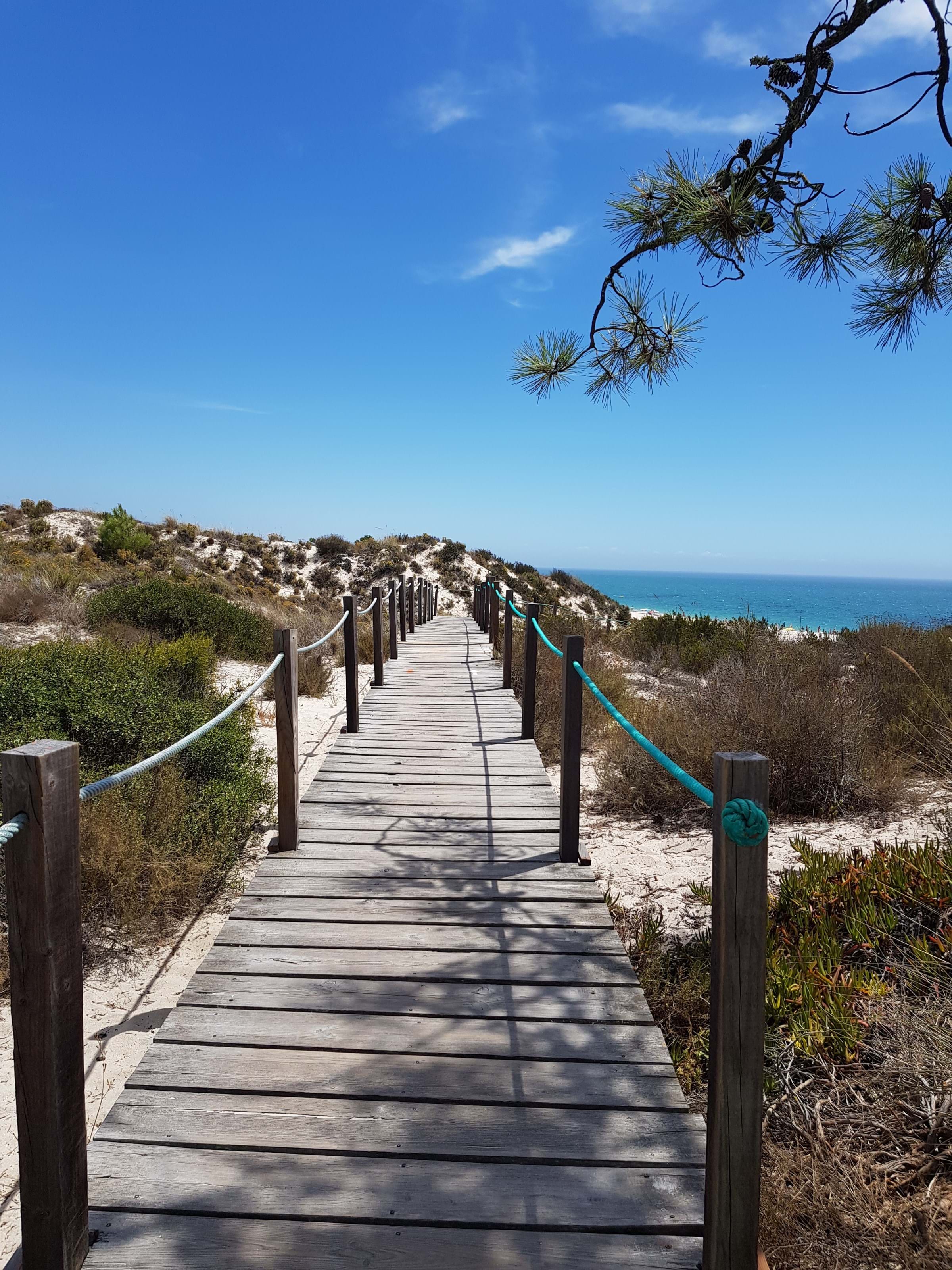 Grândola, Setúbal, 7570-788, PT, 4 Bedrooms Bedrooms, ,7 BathroomsBathrooms,Residential,For Sale,1700687