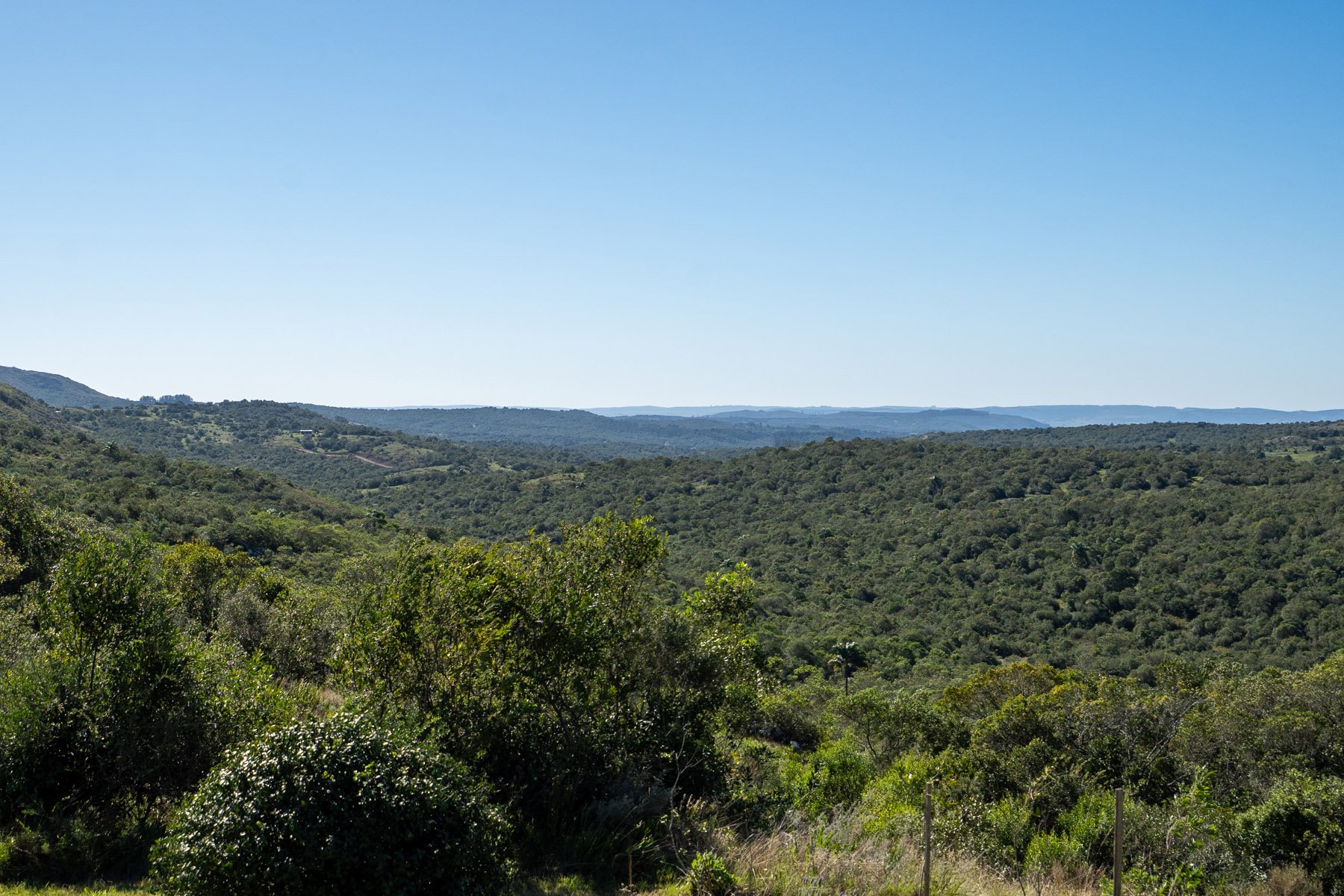  Farm in Cumbres de José Ignacio. - 物件實景