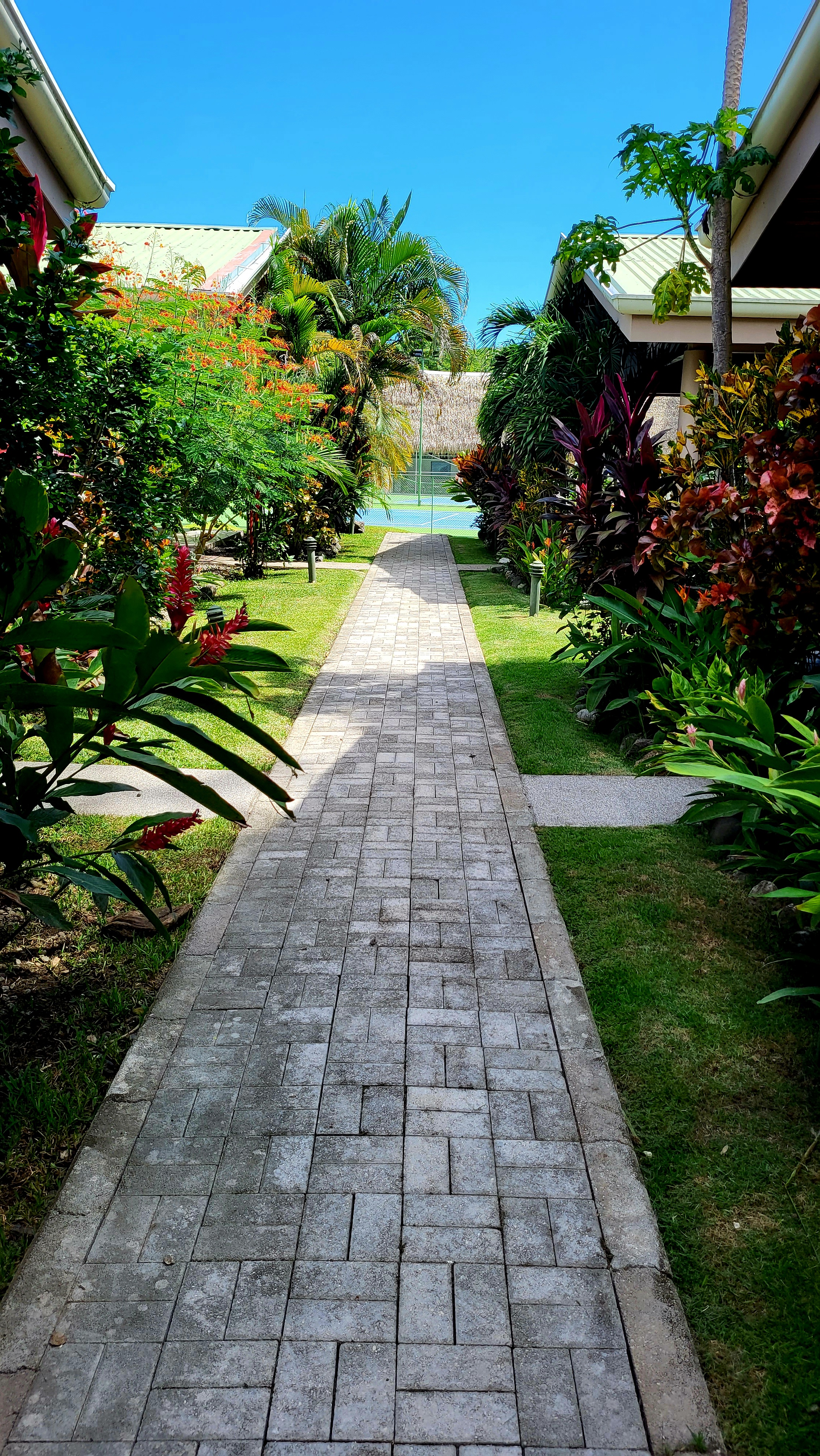 Nosara, Guanacaste, CR, 3 Bedrooms Bedrooms, ,2 BathroomsBathrooms,Residential,For Sale,1903704