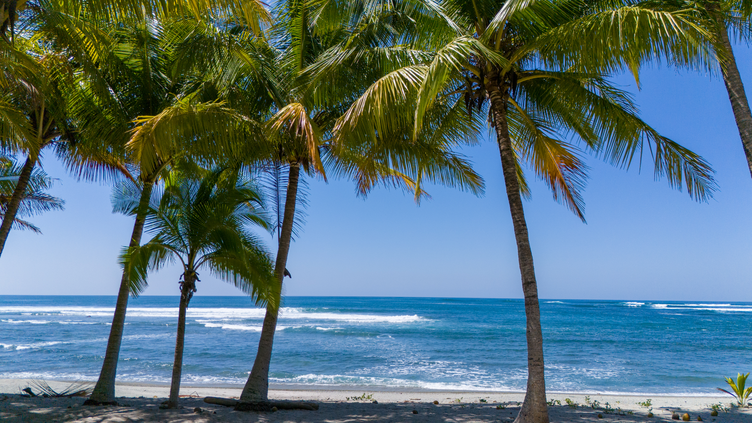 Nosara, Guanacaste, CR, ,Land,For Sale,1628483
