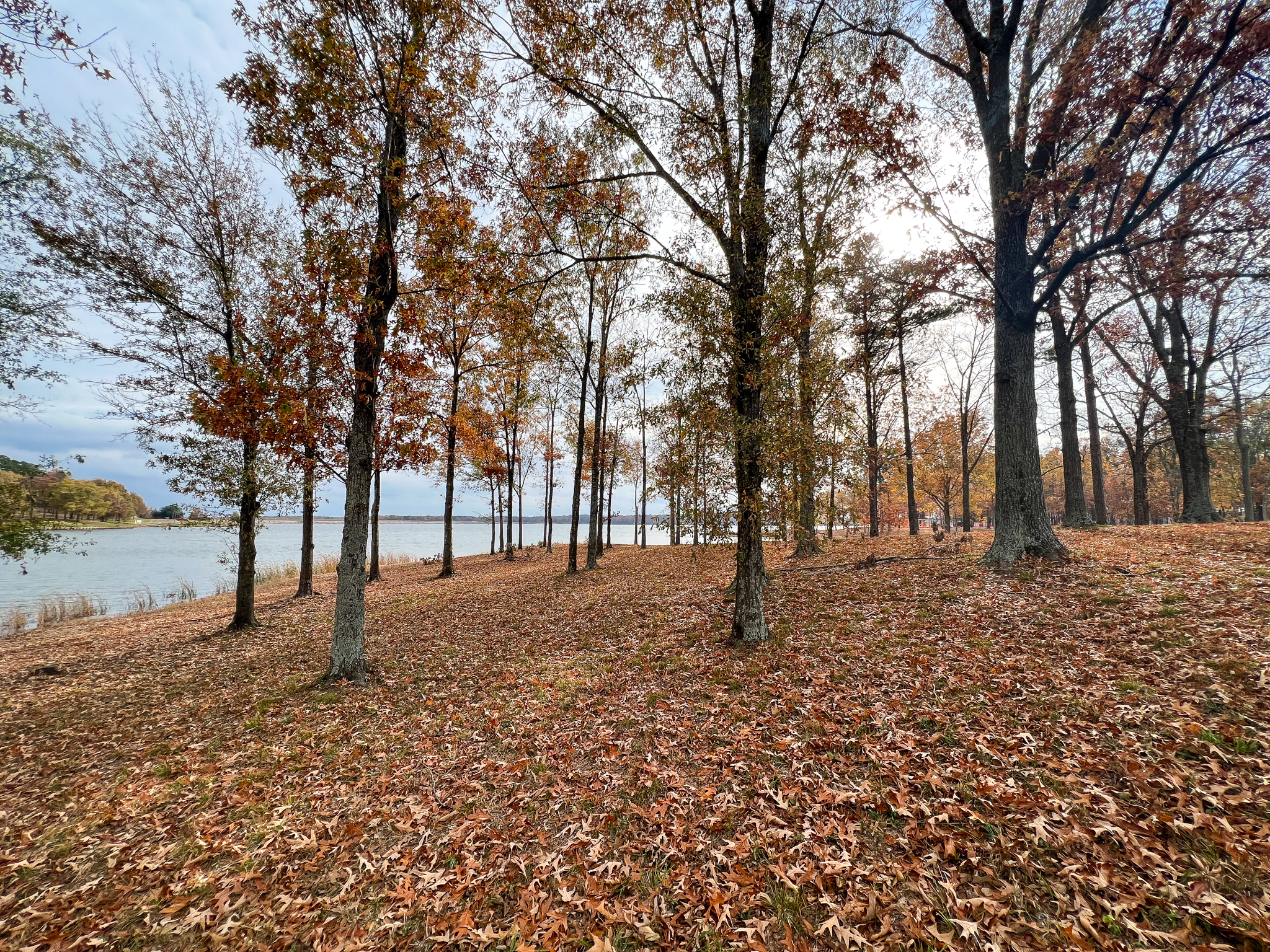 Lot 13 Eagle's Nest Drive, Mt Vernon, Texas, 75457, United States, ,Residential,For Sale,Lot 13 Eagle's Nest Drive,1191814