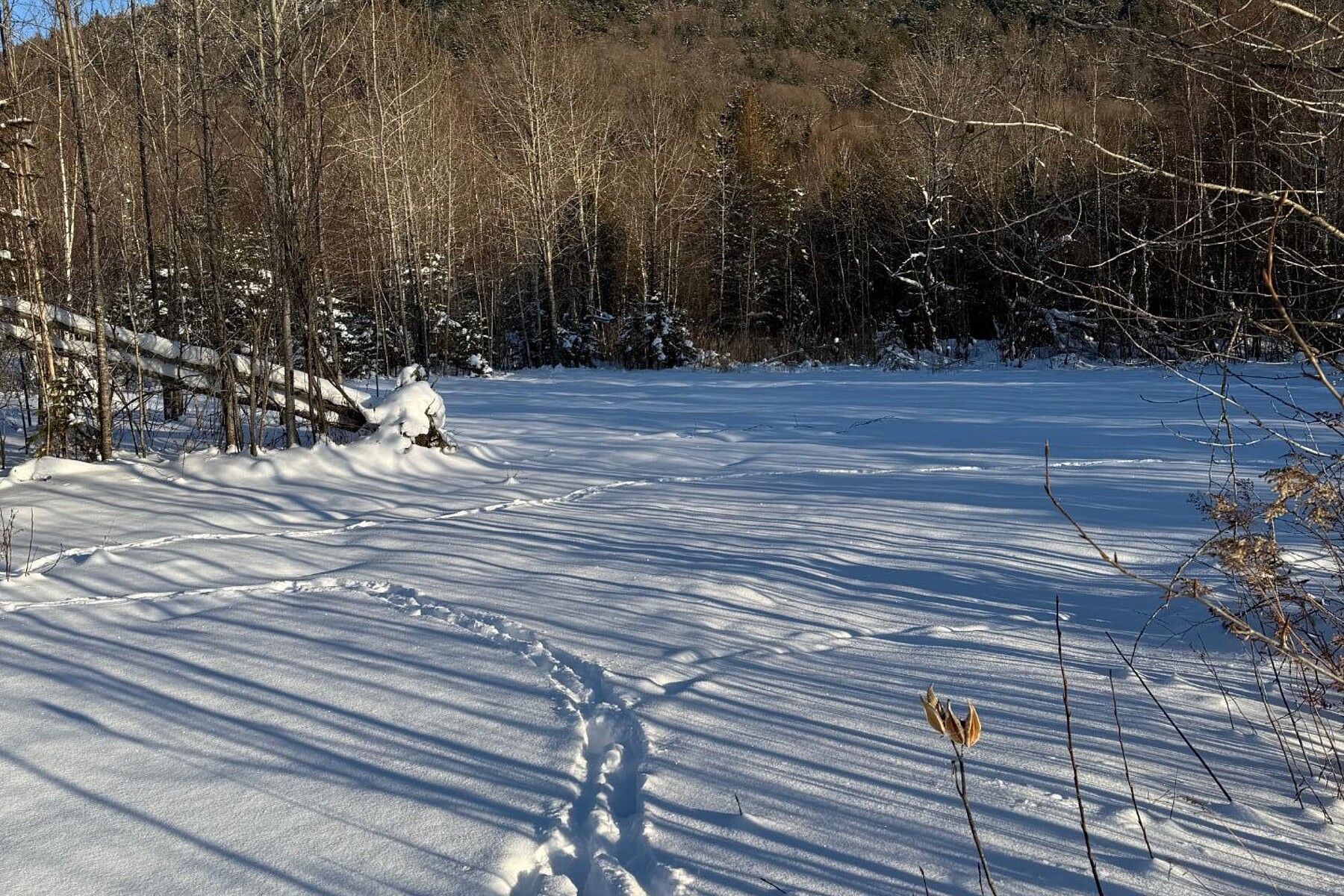  Potton, Eastern Townships - 物件實景