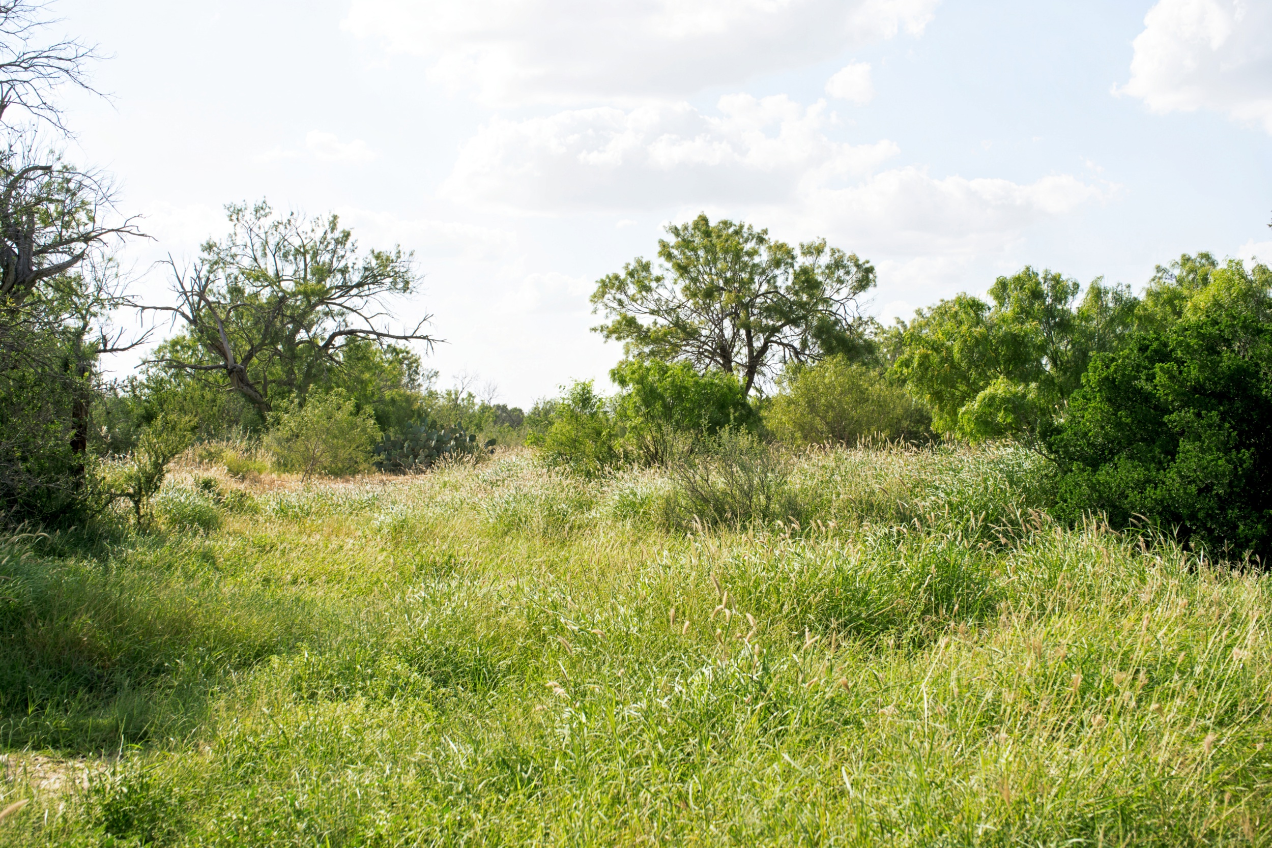  Moro Creek Ranch in Dimmit County - 物件實景