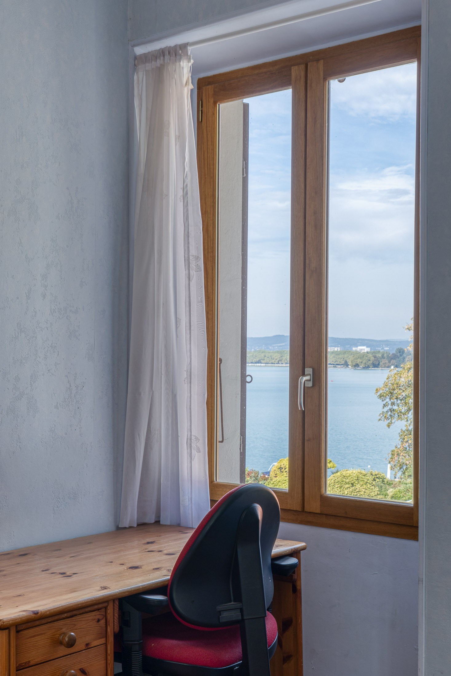  VEYRIER-DU-LAC – DUPLEX APARTMENT – DIRECT ACCESS TO THE LAKE - 物件實景