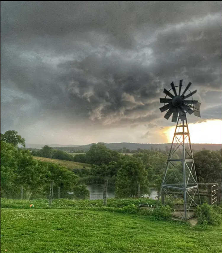 Hillsboro, Kentucky, 41049, United States, 3 Bedrooms Bedrooms, ,3 BathroomsBathrooms,Residential,For Sale,1984101