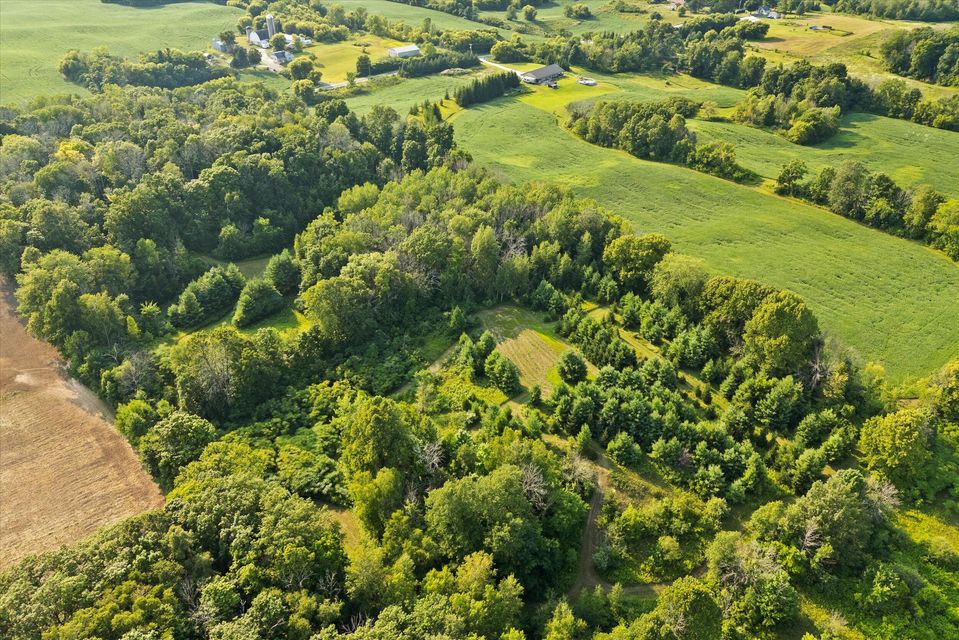 Rhine, Wisconsin, 53020, United States, ,Land,For Sale,1983397