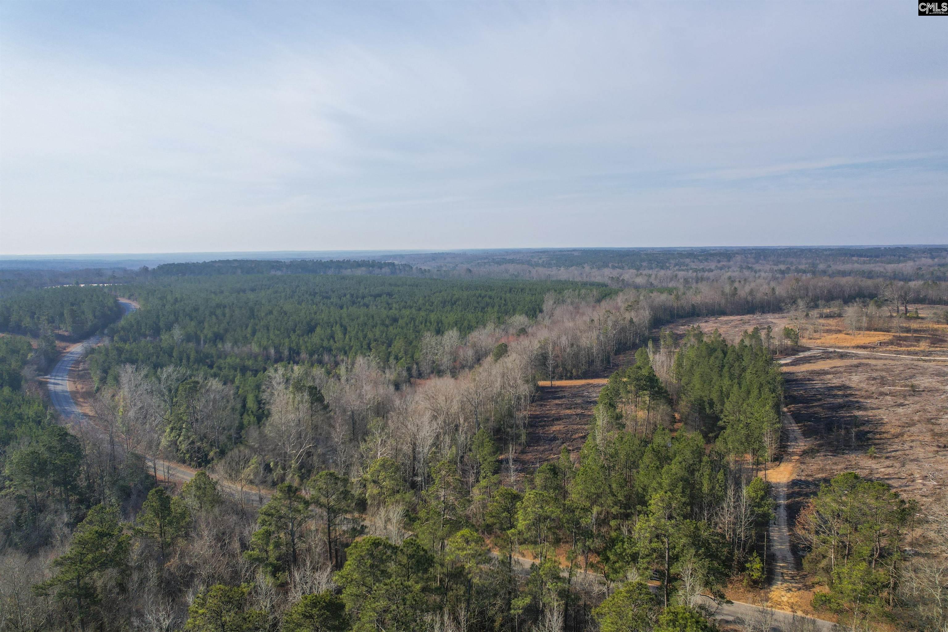 703 Neds Creek Road, Kershaw, South Carolina, 29067, United States, ,Land,For Sale,703 Neds Creek Road,1669372