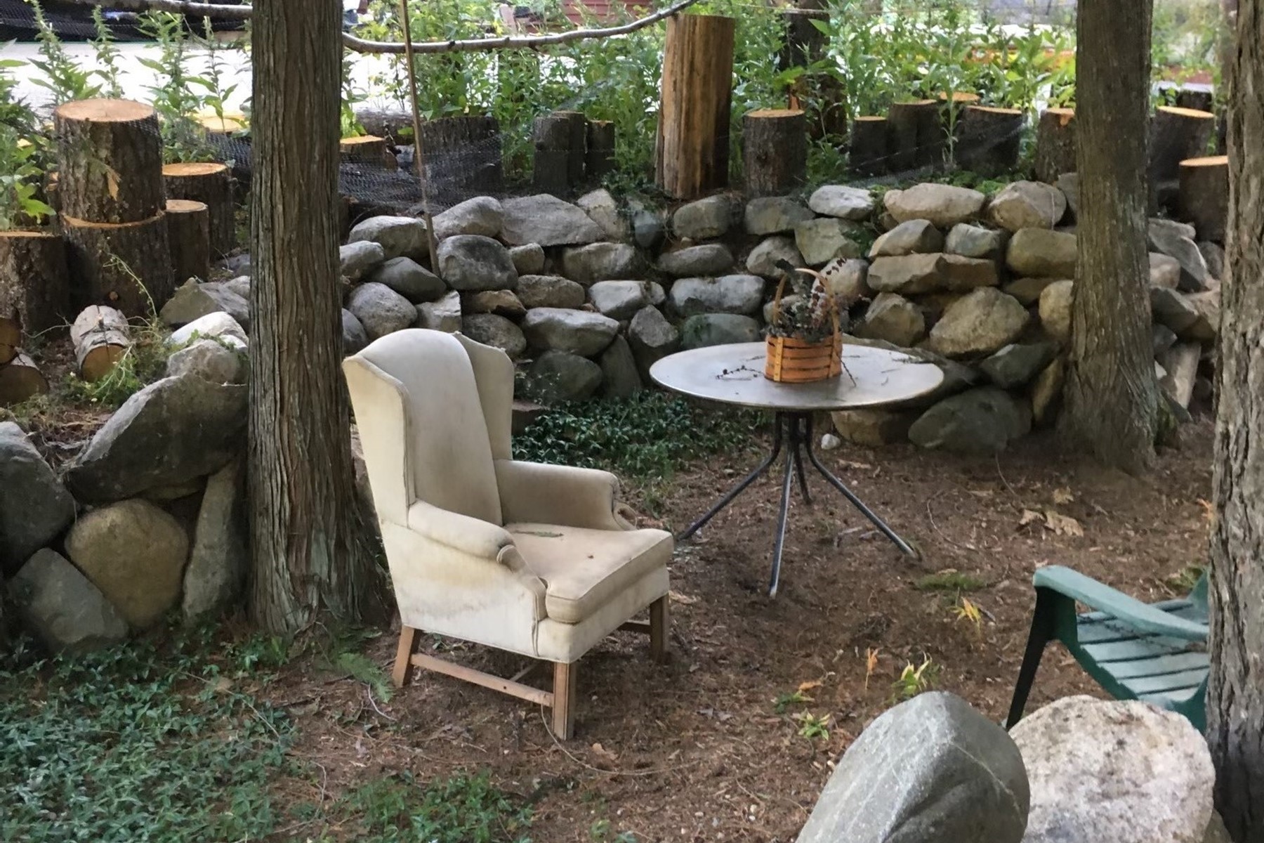  Tree Farm & Home on 6+ Acres - 物件實景