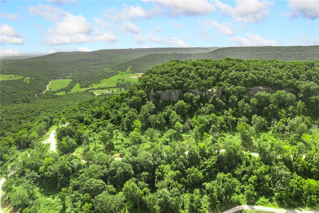 Harrison, Arkansas, 72601, United States, ,Land,For Sale,1903460