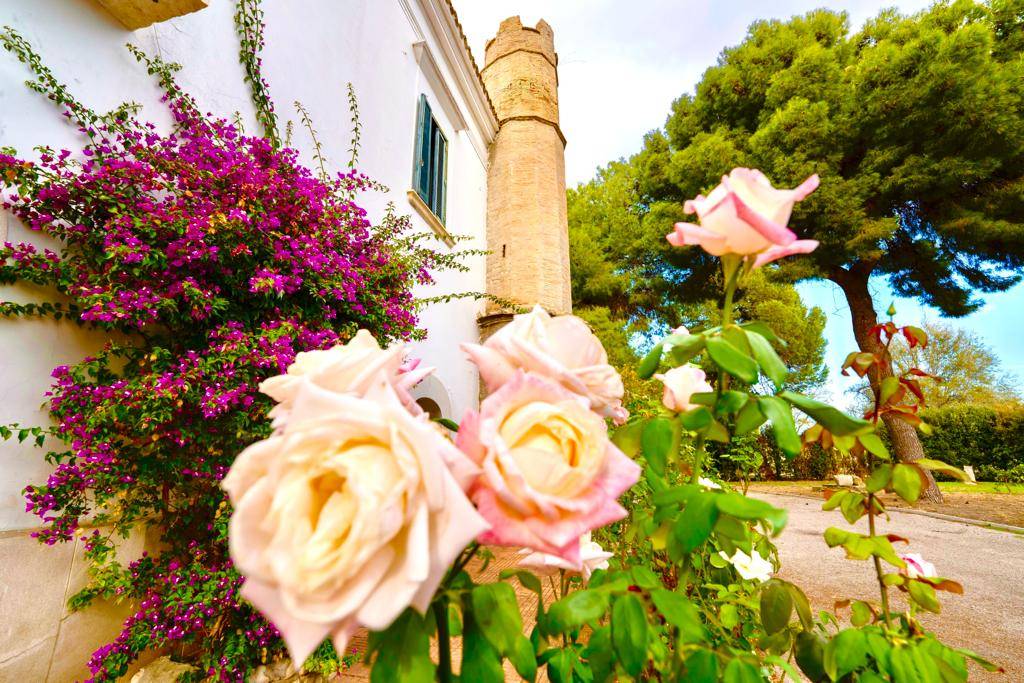 Via Pietramontecorvino, Lucera, Foggia, 71036, IT, 5 Bedrooms Bedrooms, ,5 BathroomsBathrooms,Residential,For Sale,Via Pietramontecorvino,1668476