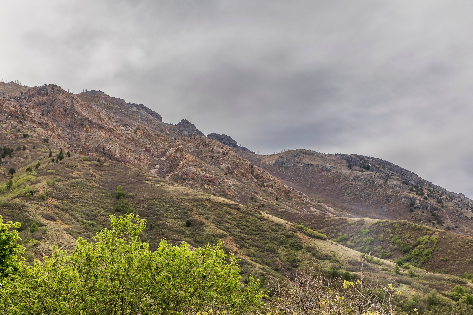  Unmatched Alpine Views - 物件實景