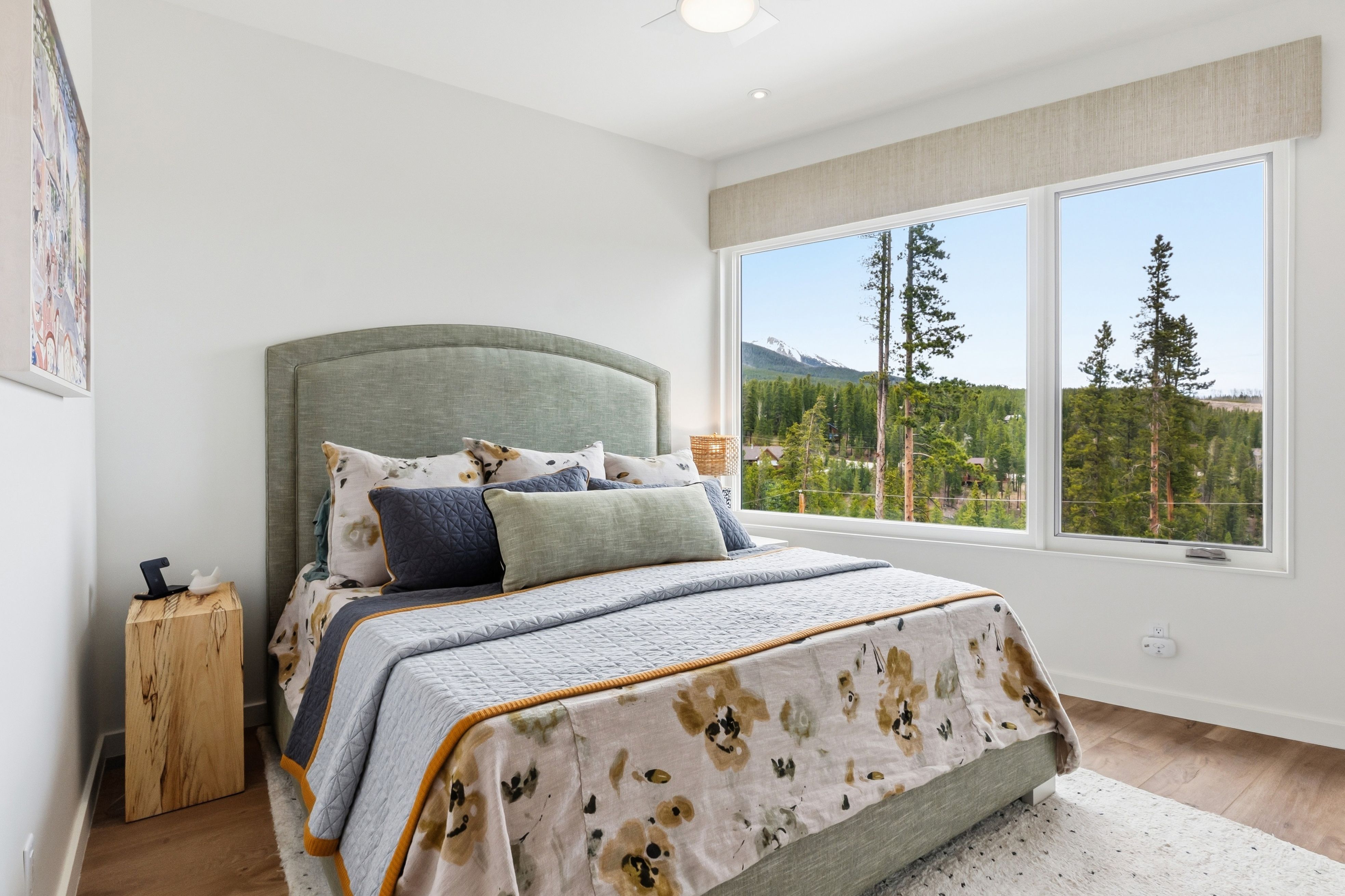  175 Protector Place, Breckenridge, CO, 80424 - 物件實景