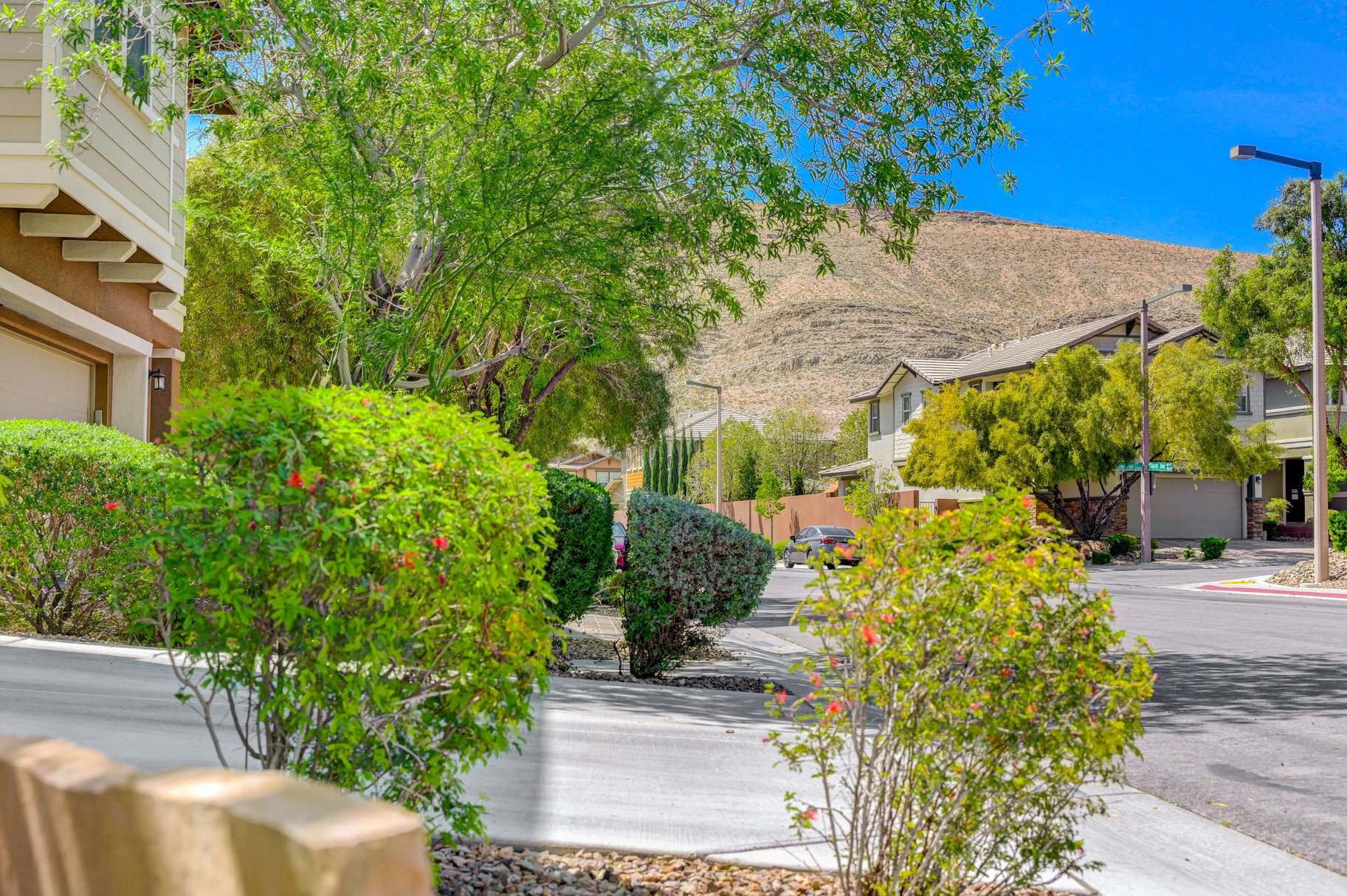  New to Market - 物件實景