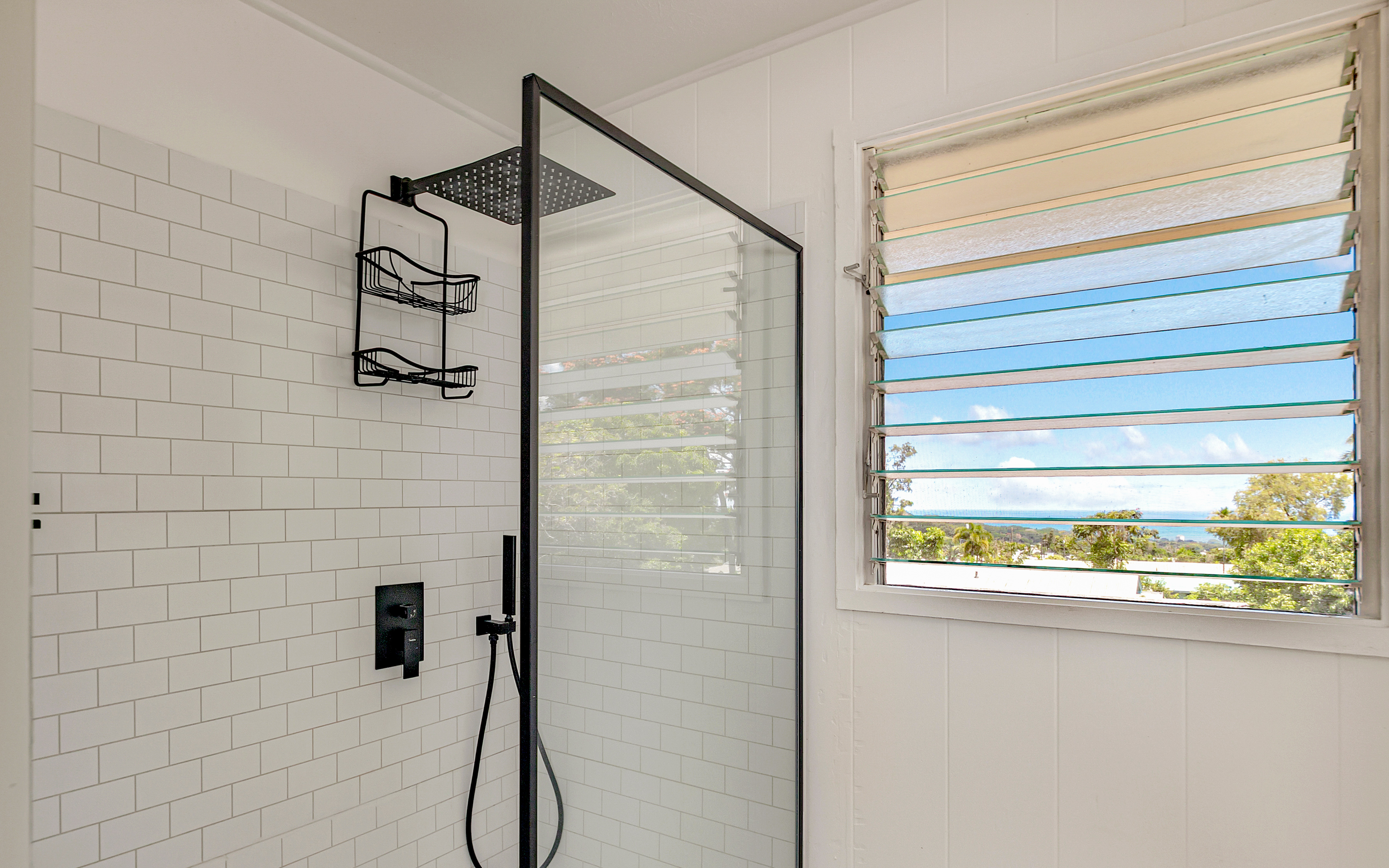  107 Kaikuono Street, Hilo, HI 96720 - 物件實景