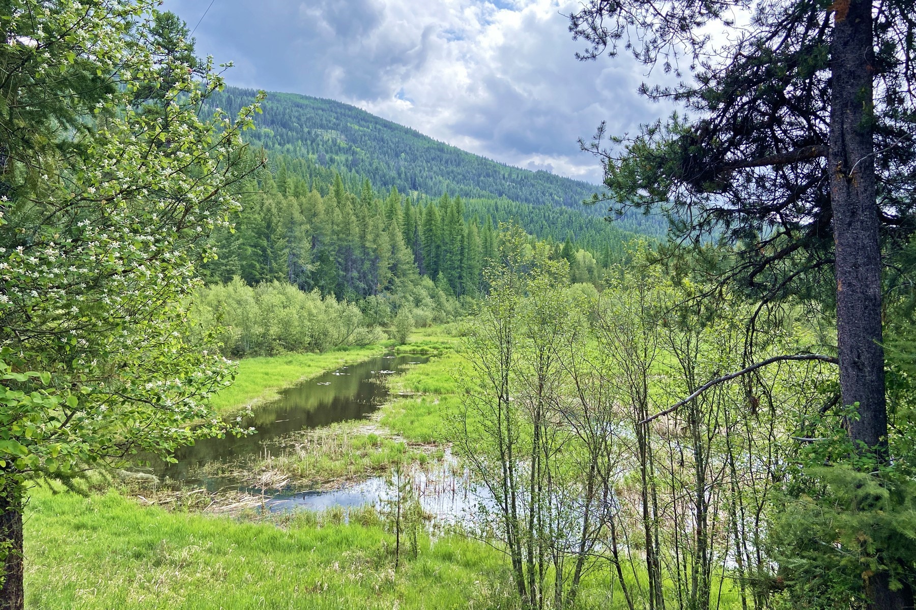  North Idaho Escape - 物件實景