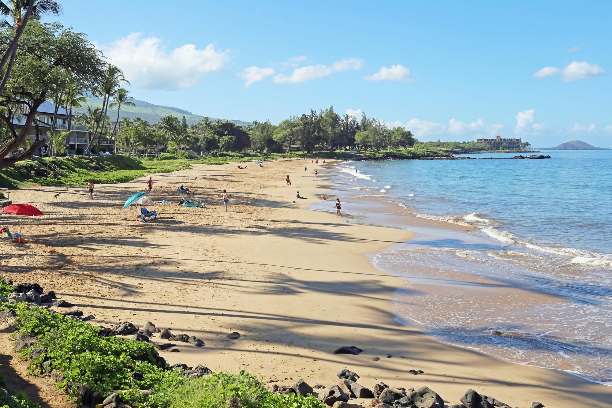 Kihei, Hawaii, 96753, United States, 1 Bedroom Bedrooms, ,1 BathroomBathrooms,Residential,For Sale,1695828